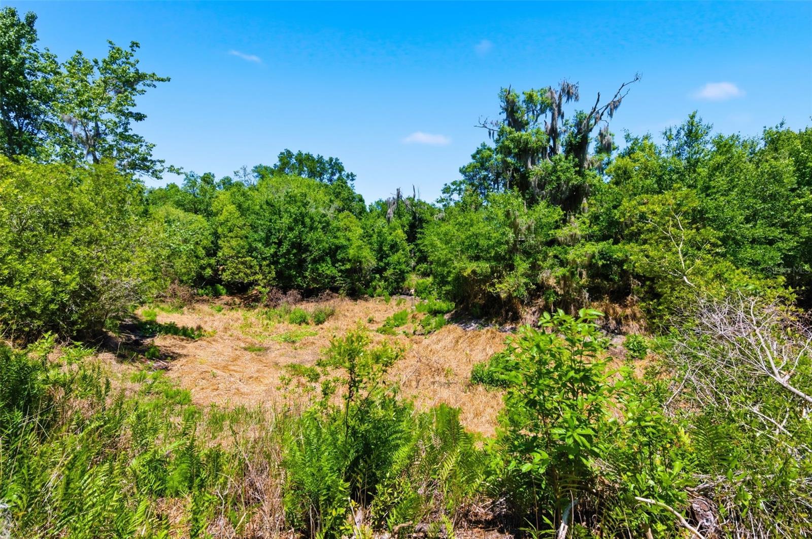 19084 RED BIRD LN #LOT 5, LITHIA, FL, 33547