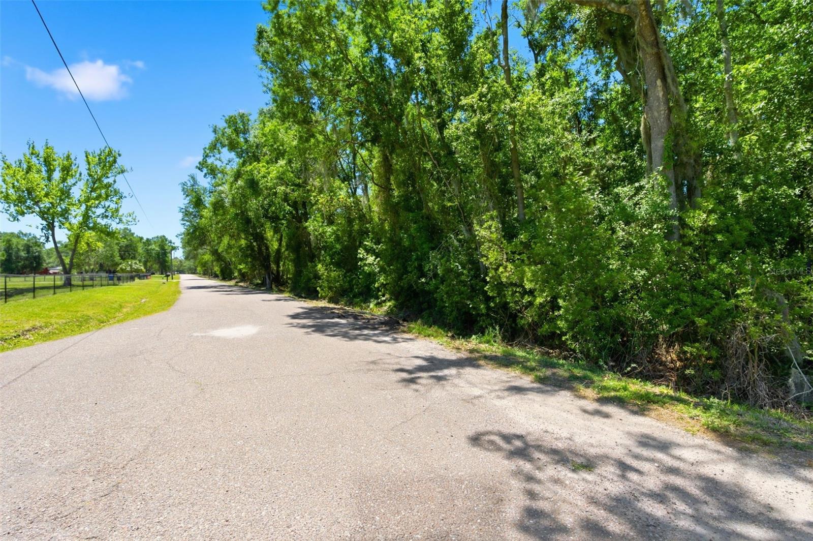 19084 RED BIRD LN #LOT 5, LITHIA, FL, 33547