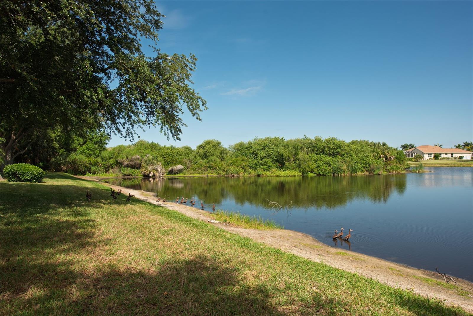 183 CLEAR LAKE DR, ENGLEWOOD, FL, 34223