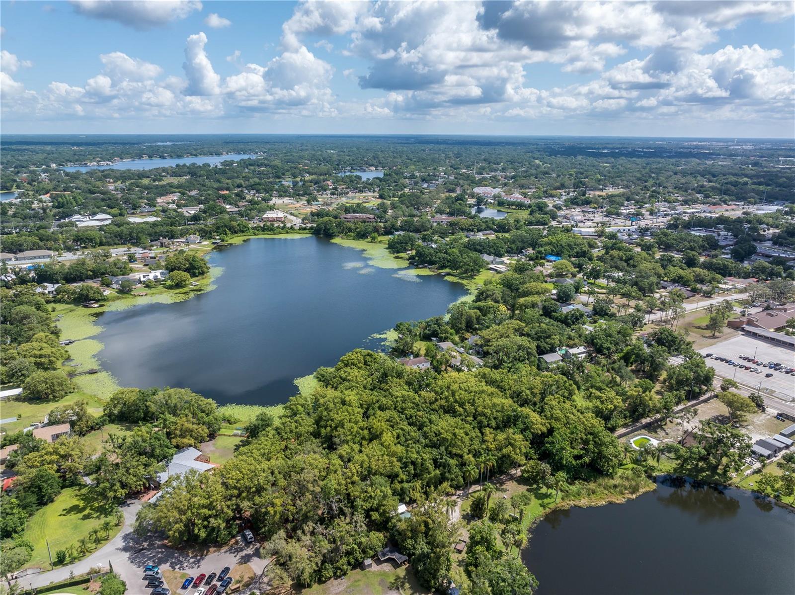 8616 N HABANA AVE, TAMPA, FL, 33614