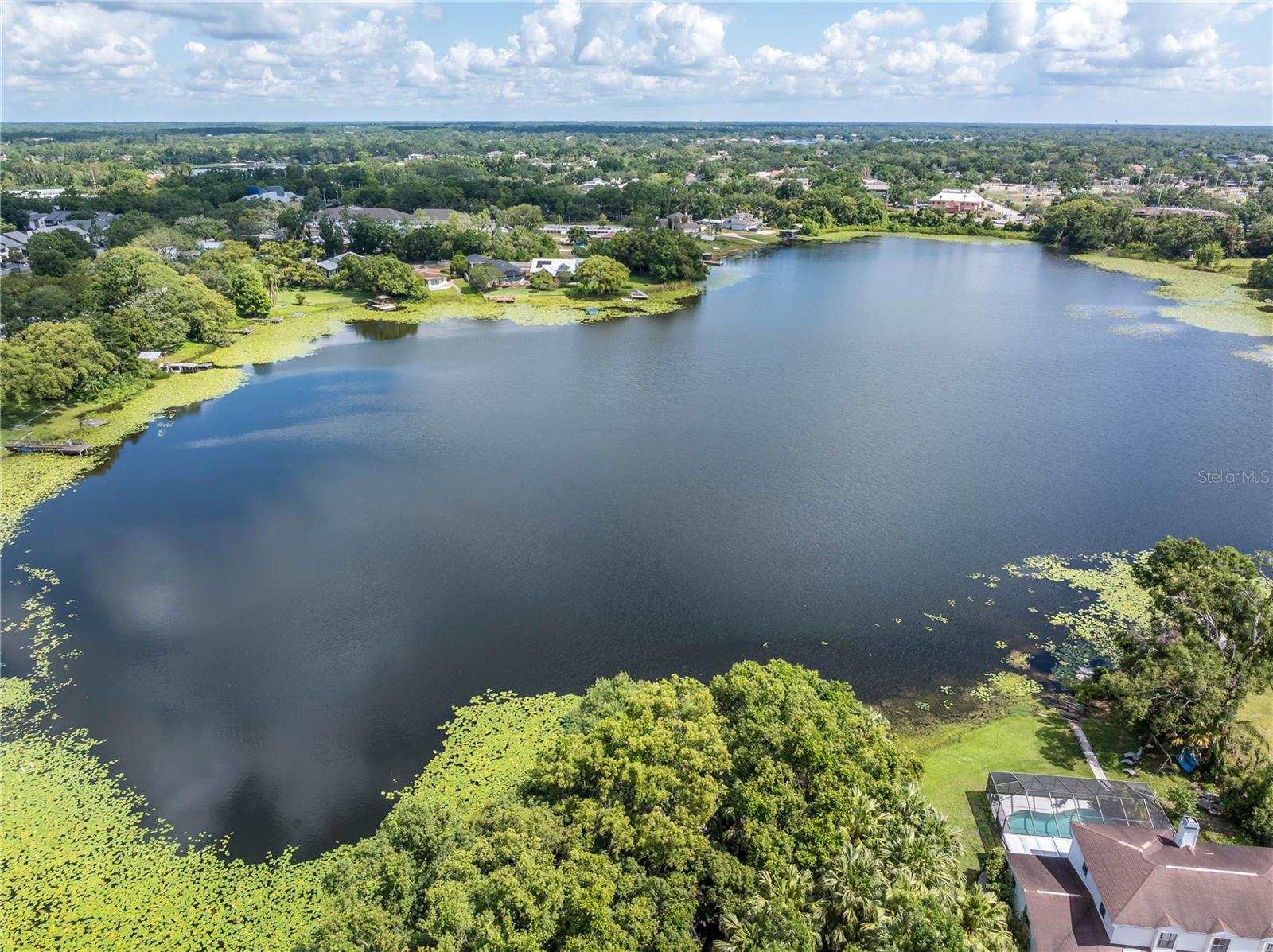 8616 N HABANA AVE, TAMPA, FL, 33614