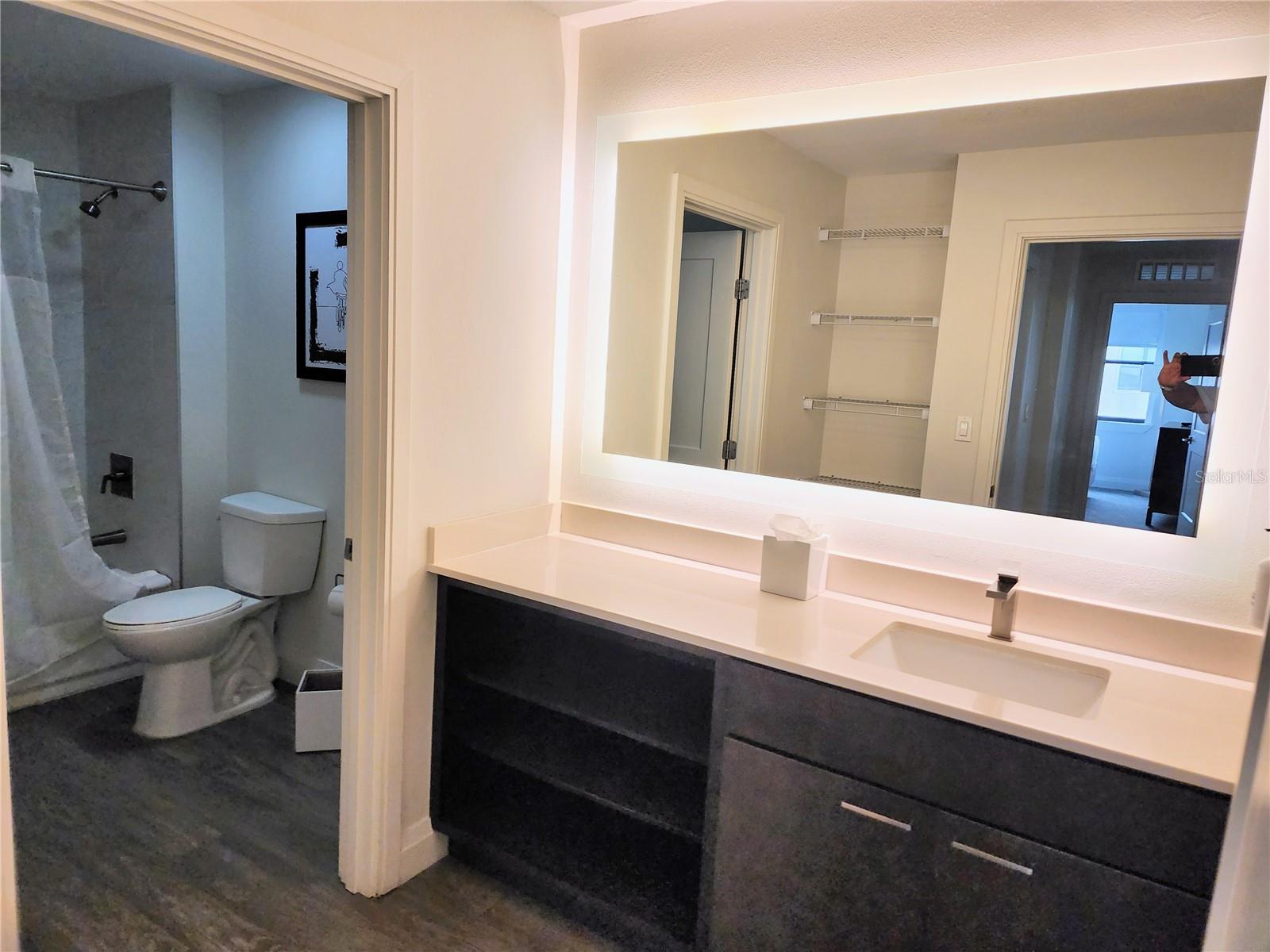 14501 GROVE RESORT AVE #3737, WINTER GARDEN, FL, 34787