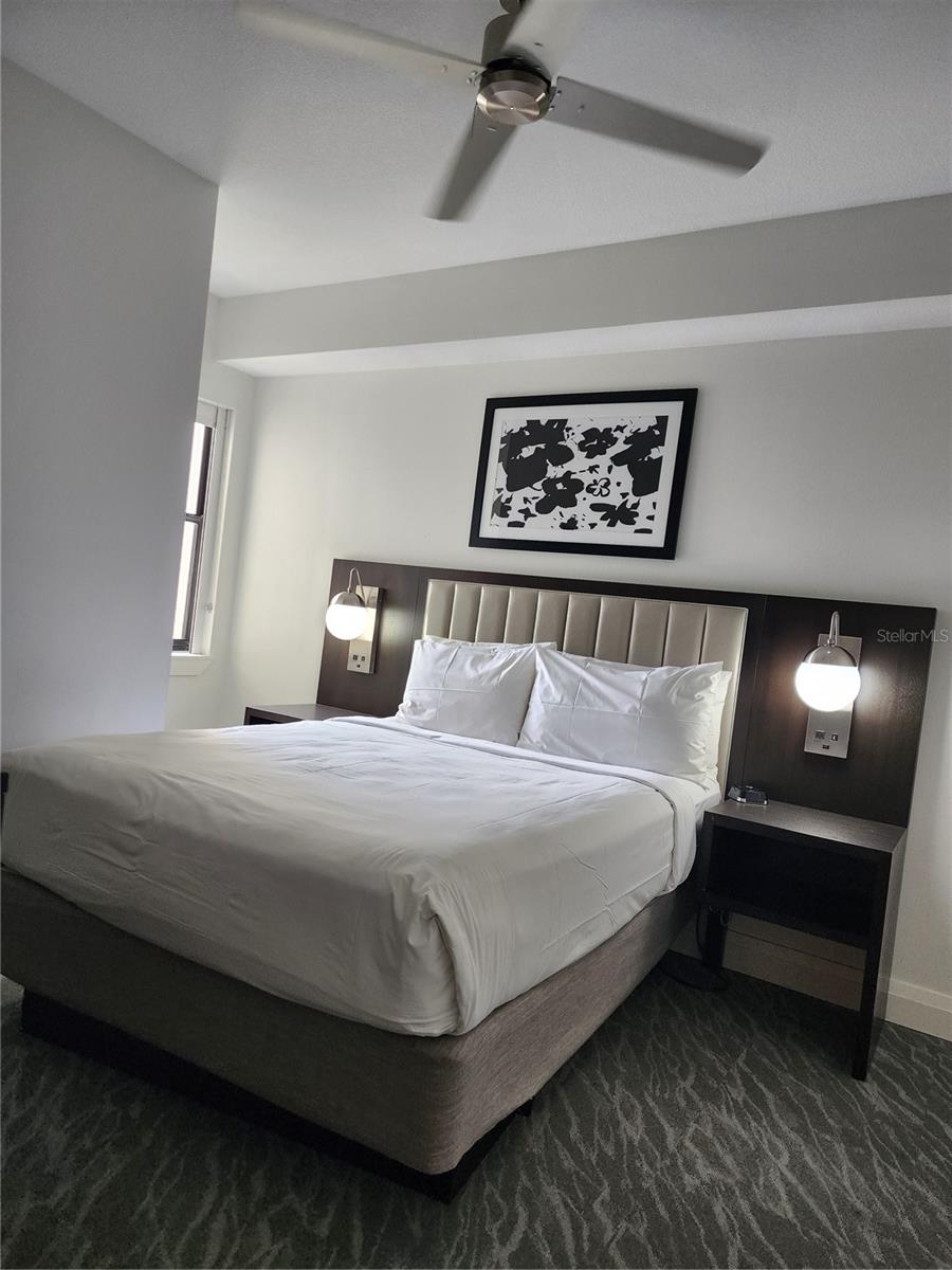 14501 GROVE RESORT AVE #3737, WINTER GARDEN, FL, 34787