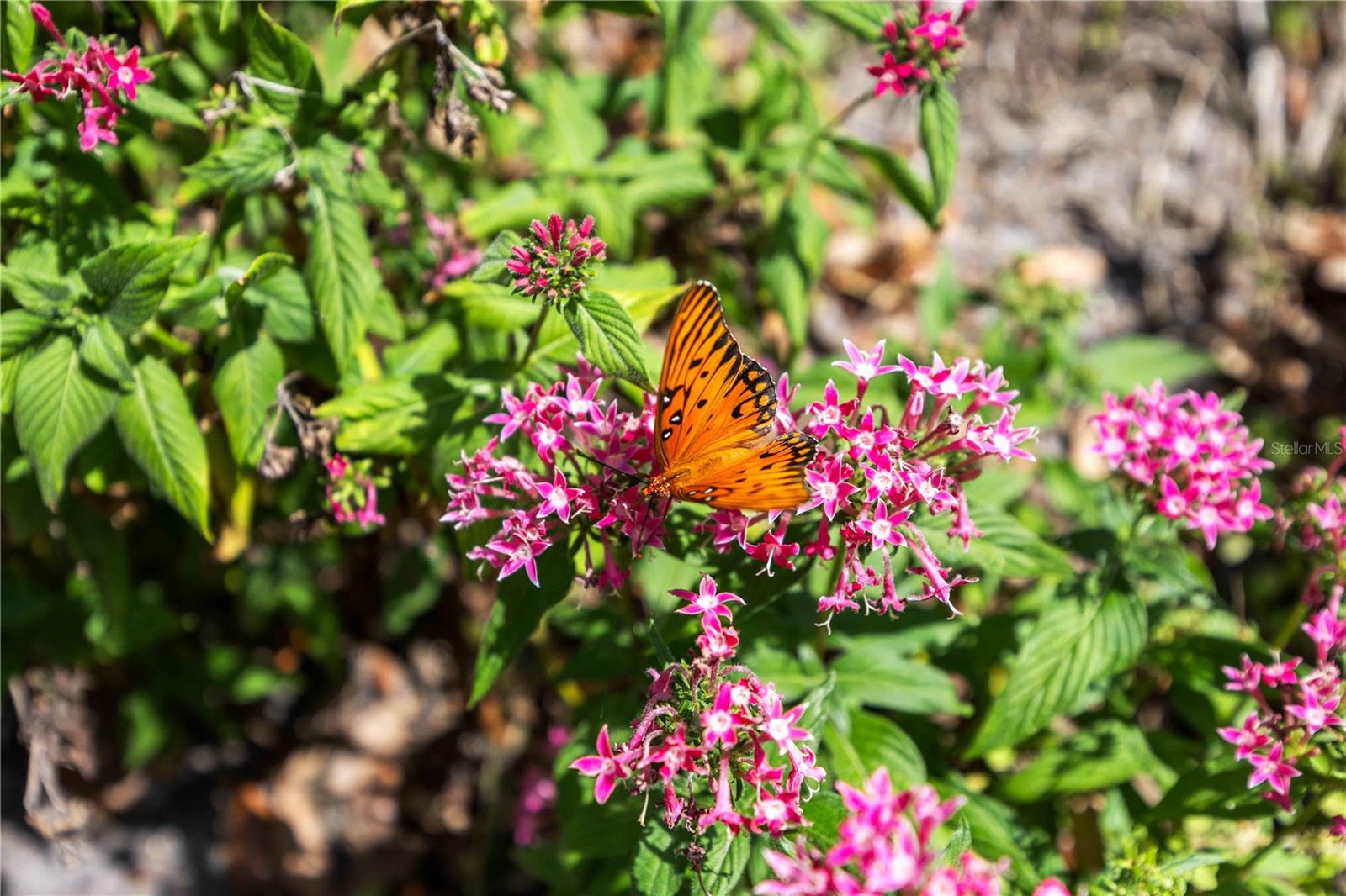 4240 BREEZEWAY BLVD #321, SARASOTA, FL, 34238