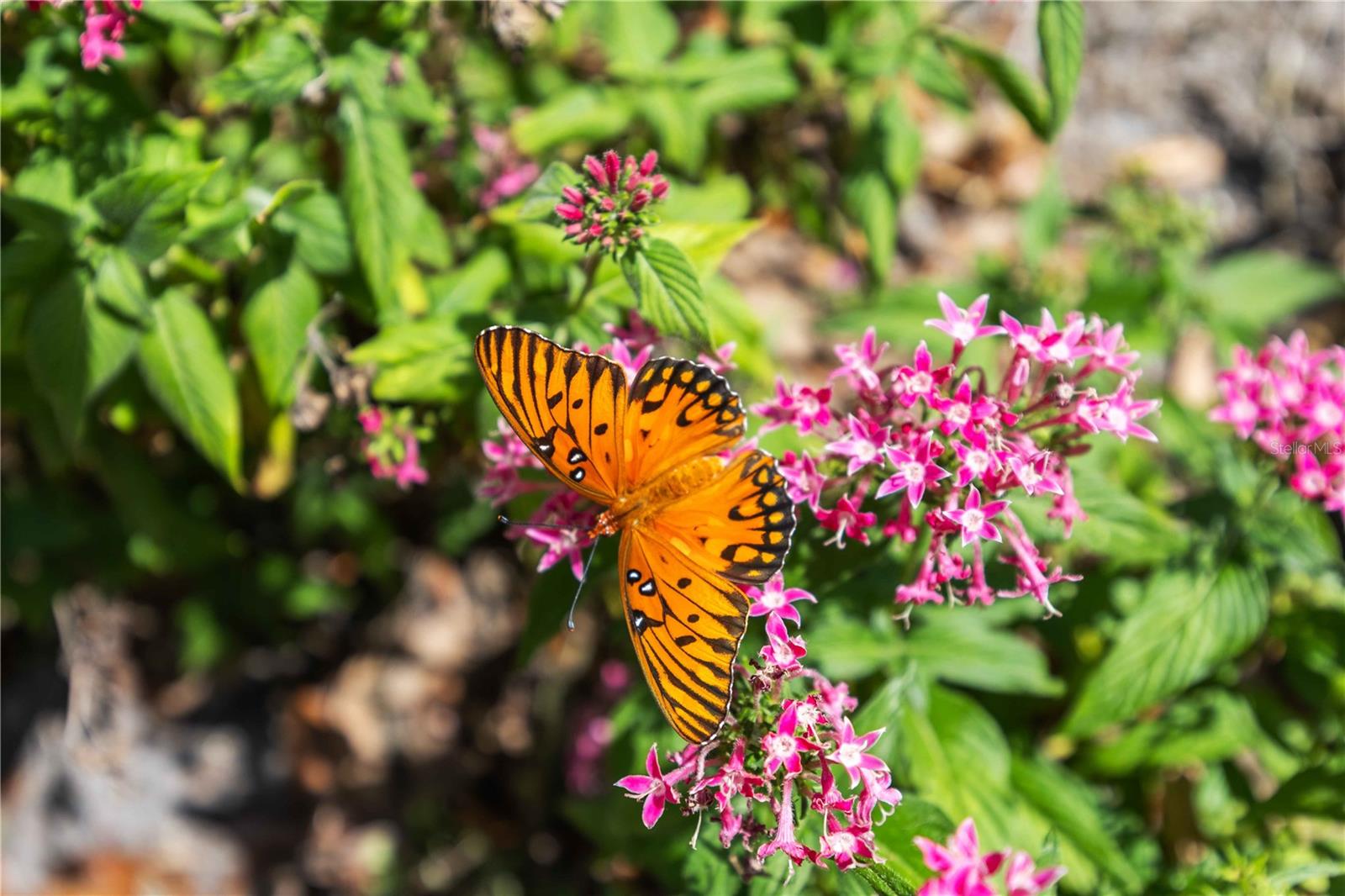 4240 BREEZEWAY BLVD #321, SARASOTA, FL, 34238