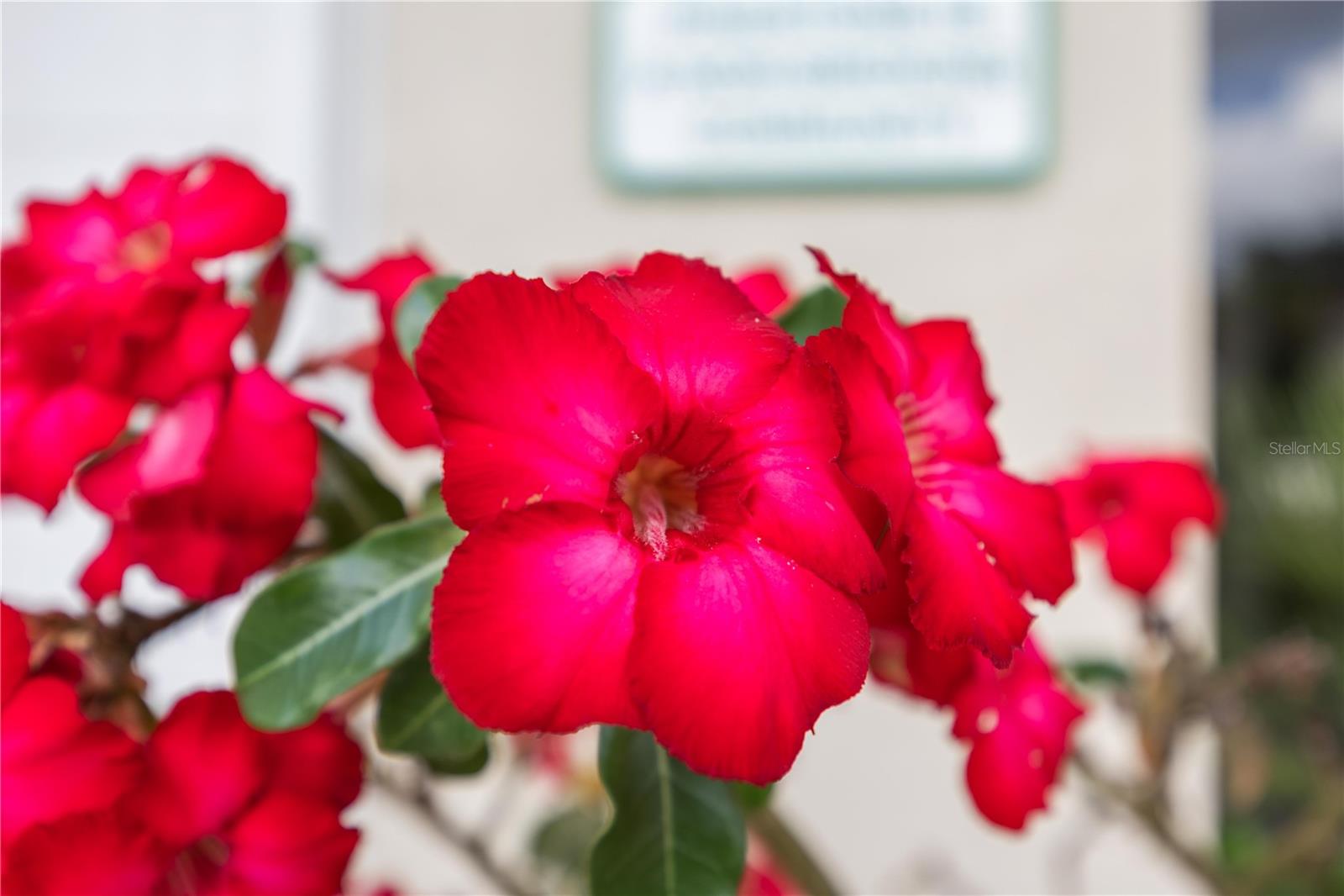 4240 BREEZEWAY BLVD #321, SARASOTA, FL, 34238