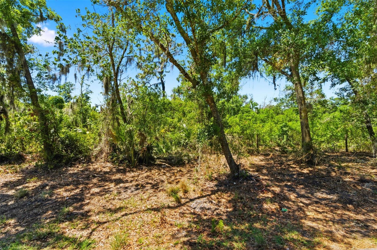 19084 RED BIRD LN #LOT 1, LITHIA, FL, 33547