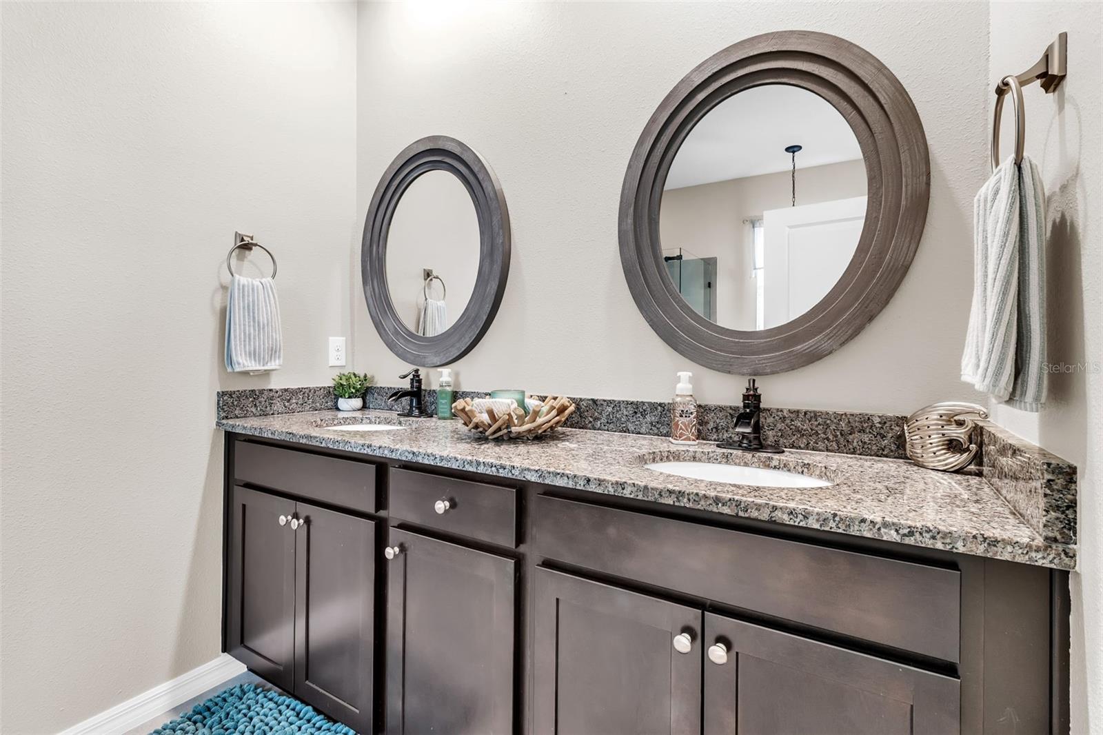 13225 WATERLEAF GARDEN CIR, RIVERVIEW, FL, 33579