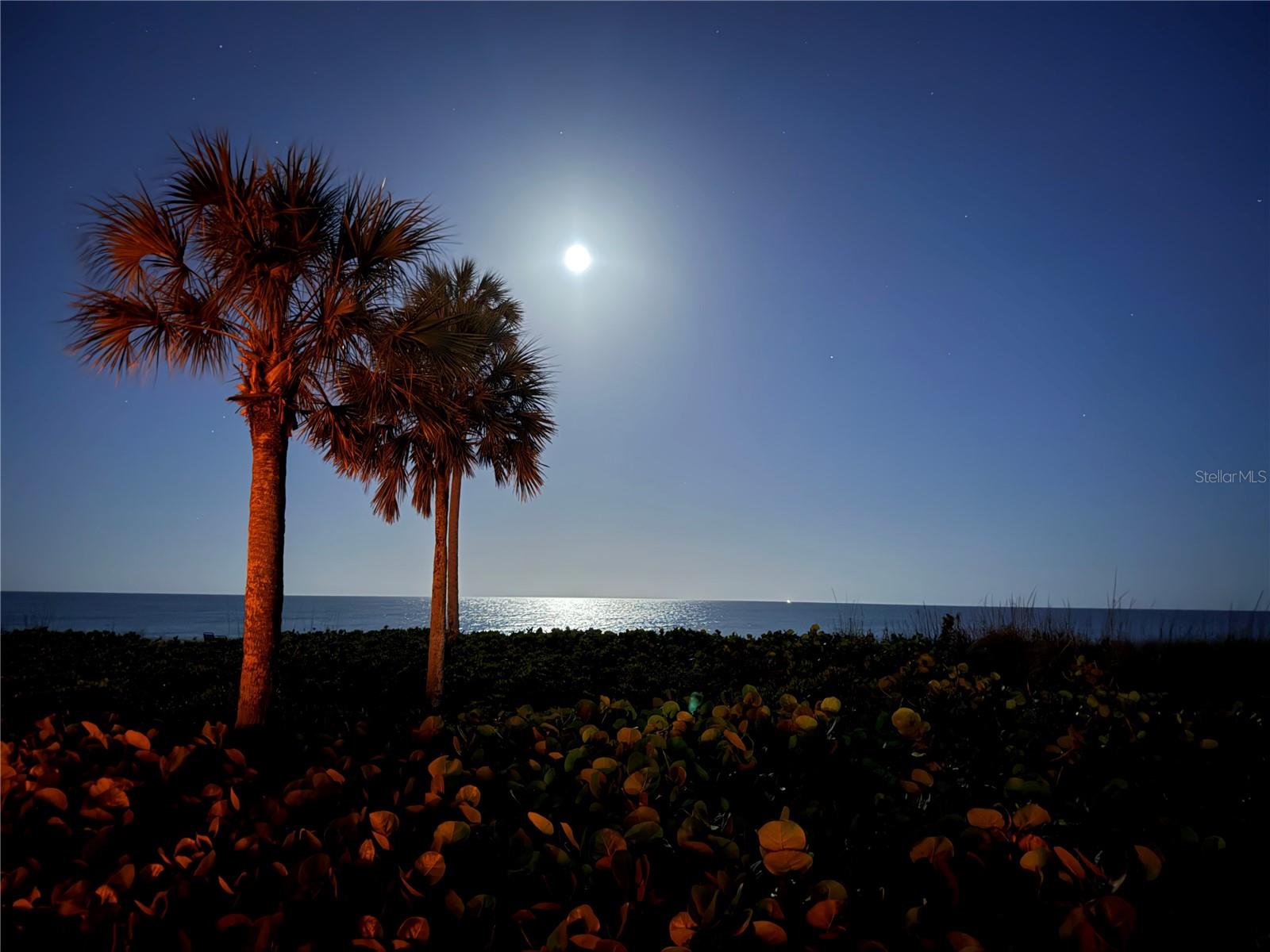 5591 GULF OF MEXICO DR #4, LONGBOAT KEY, FL, 34228