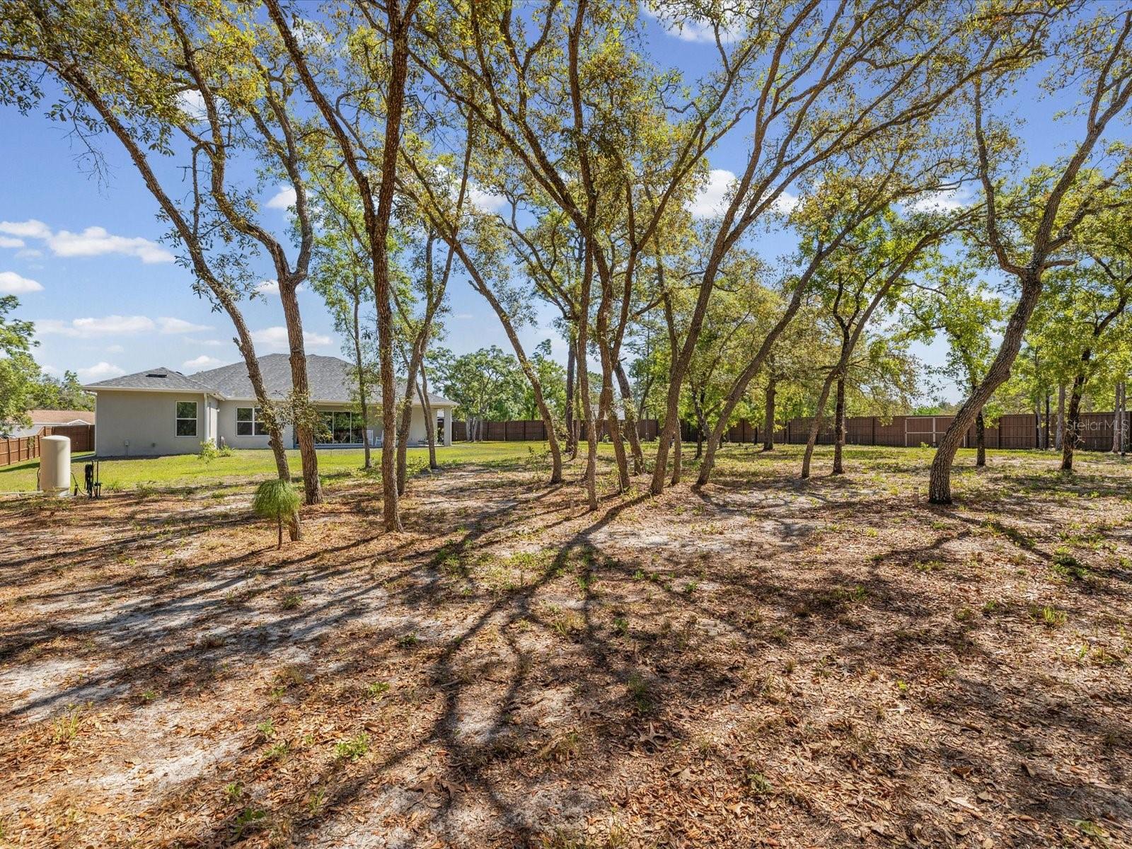 11981 ROBINA RD, WEEKI WACHEE, FL, 34614
