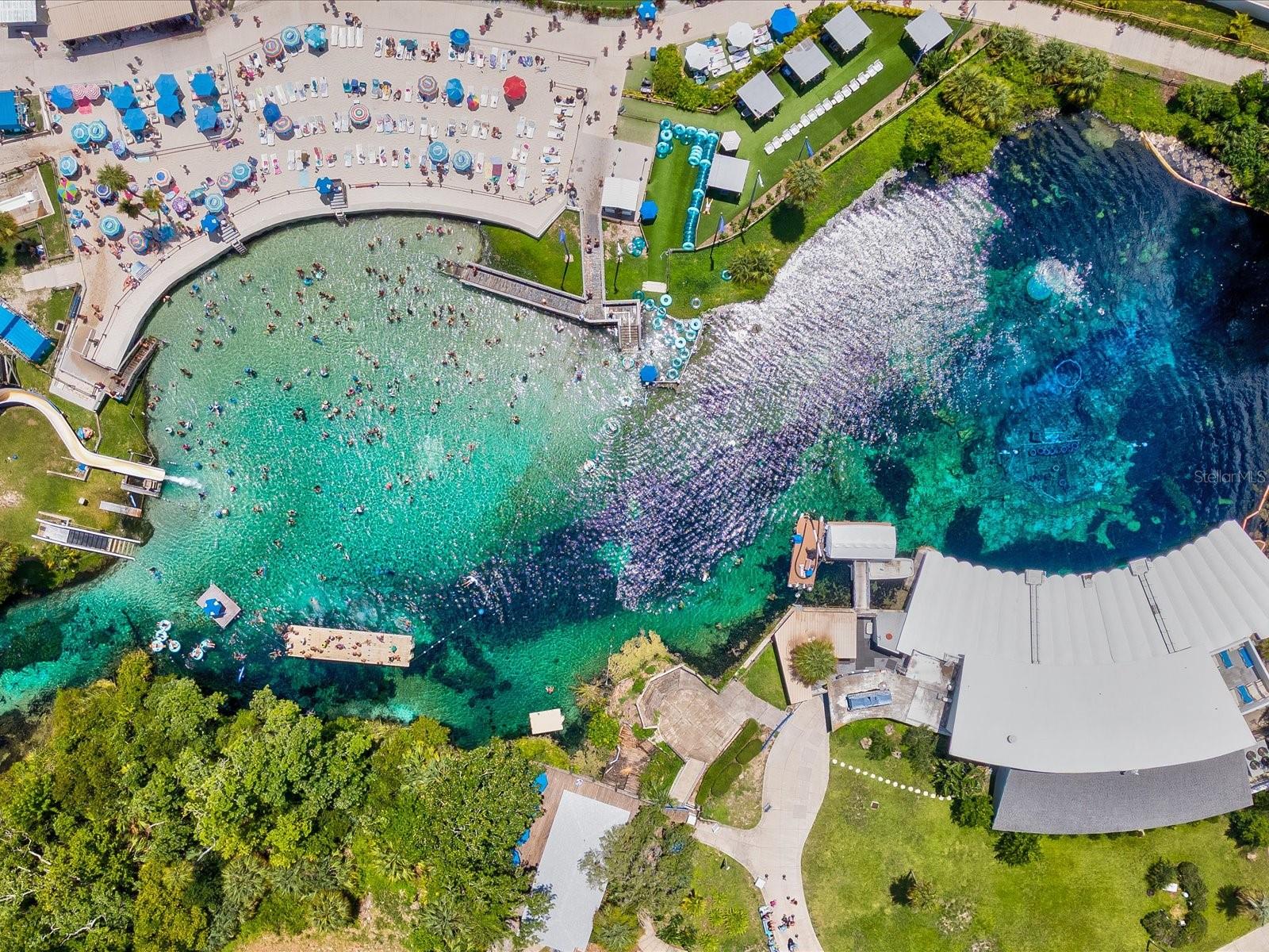 11981 ROBINA RD, WEEKI WACHEE, FL, 34614