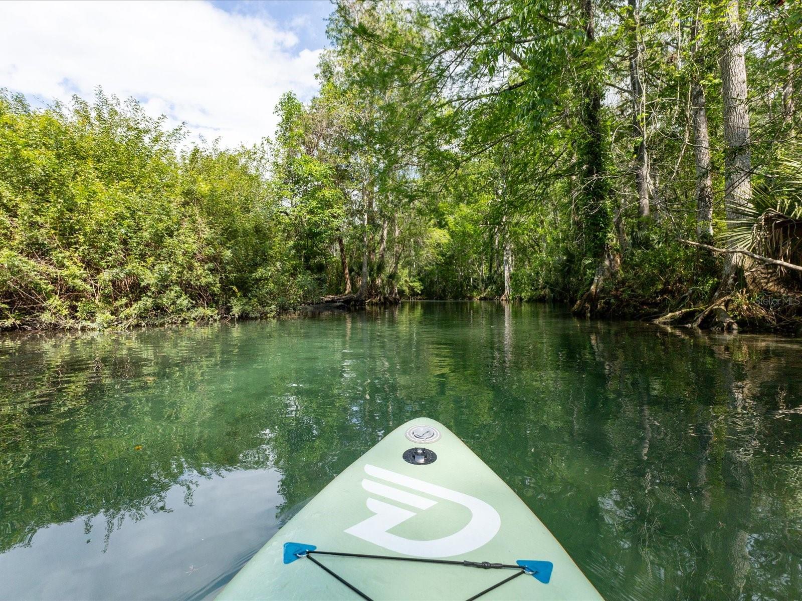 11981 ROBINA RD, WEEKI WACHEE, FL, 34614