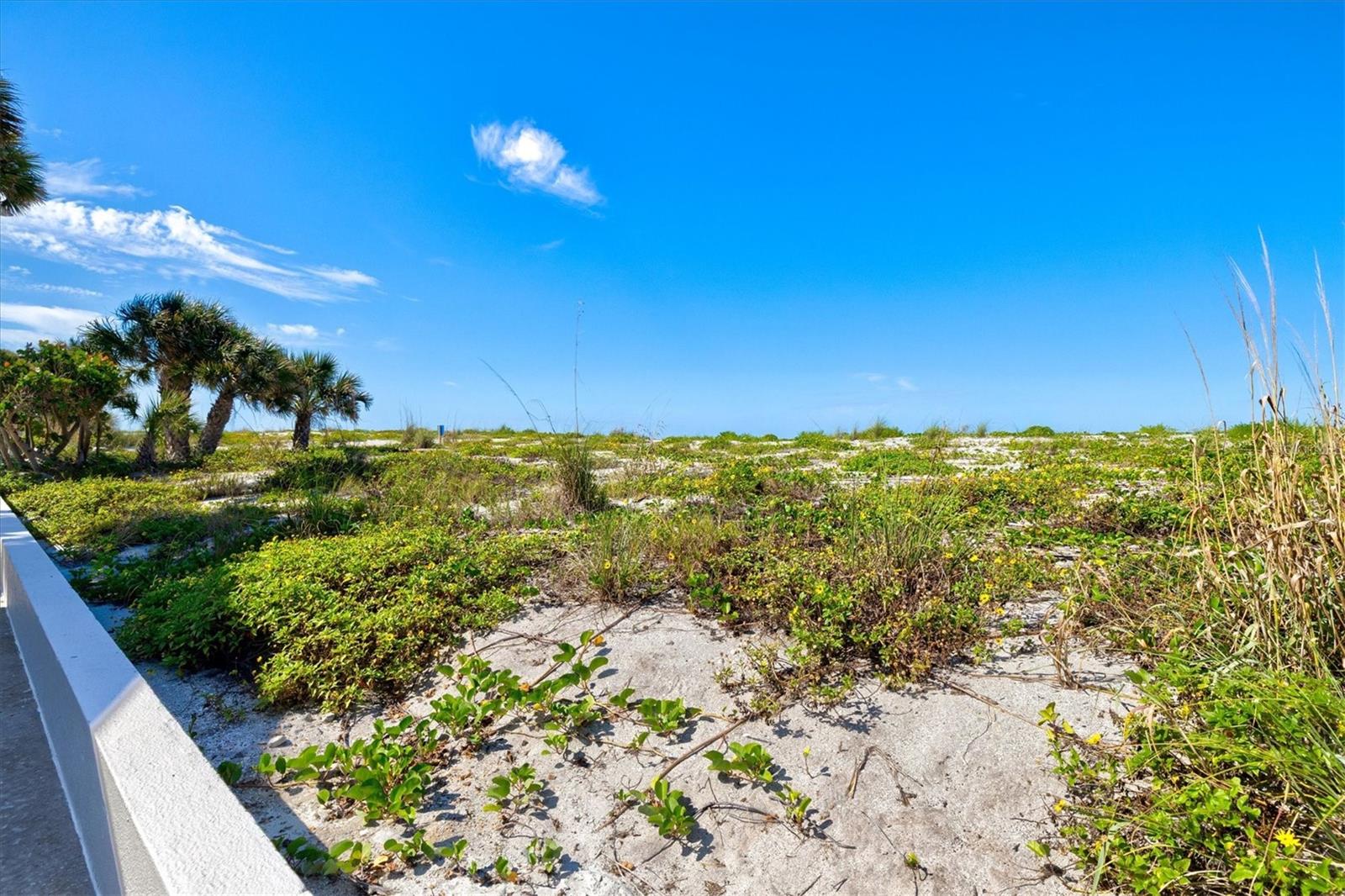 1200 TARPON CENTER DR #1, VENICE, FL, 34285