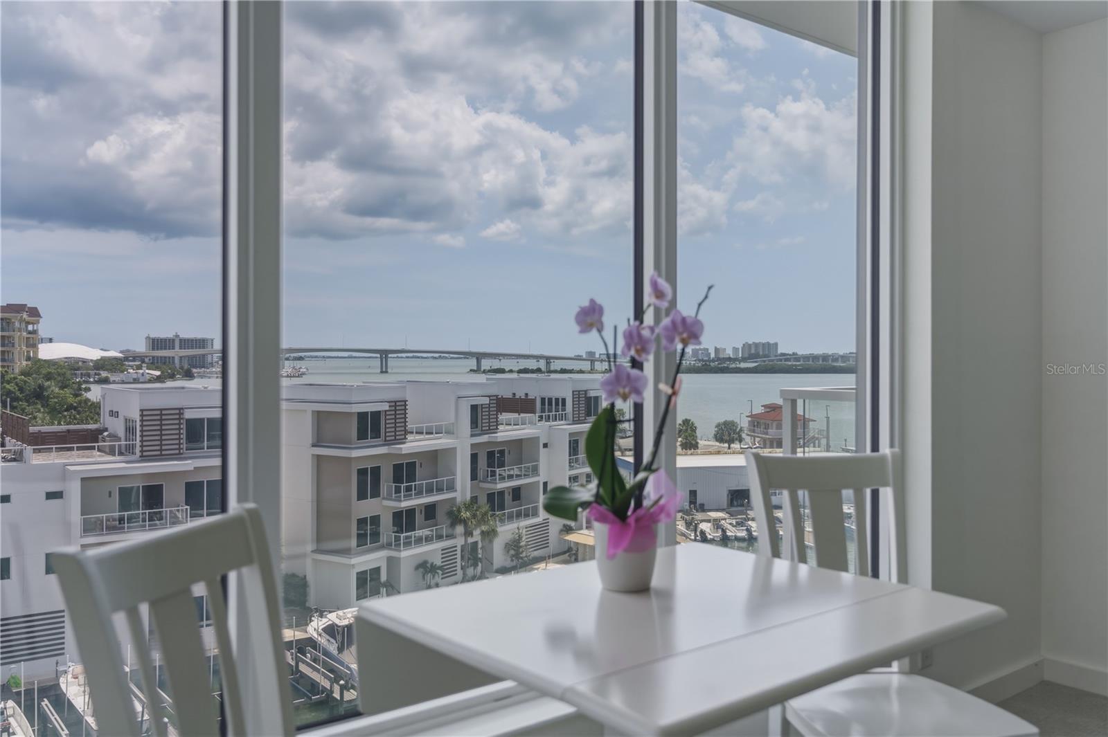 920 N OSCEOLA AVE #603, CLEARWATER, FL, 33755
