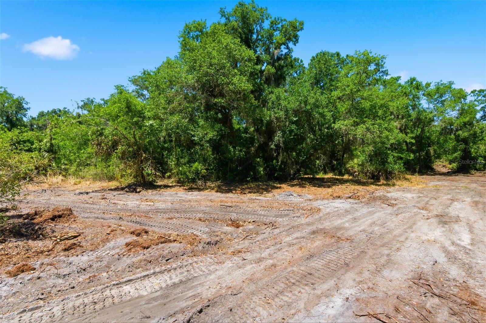 19084 RED BIRD LN #LOT 4, LITHIA, FL, 33547