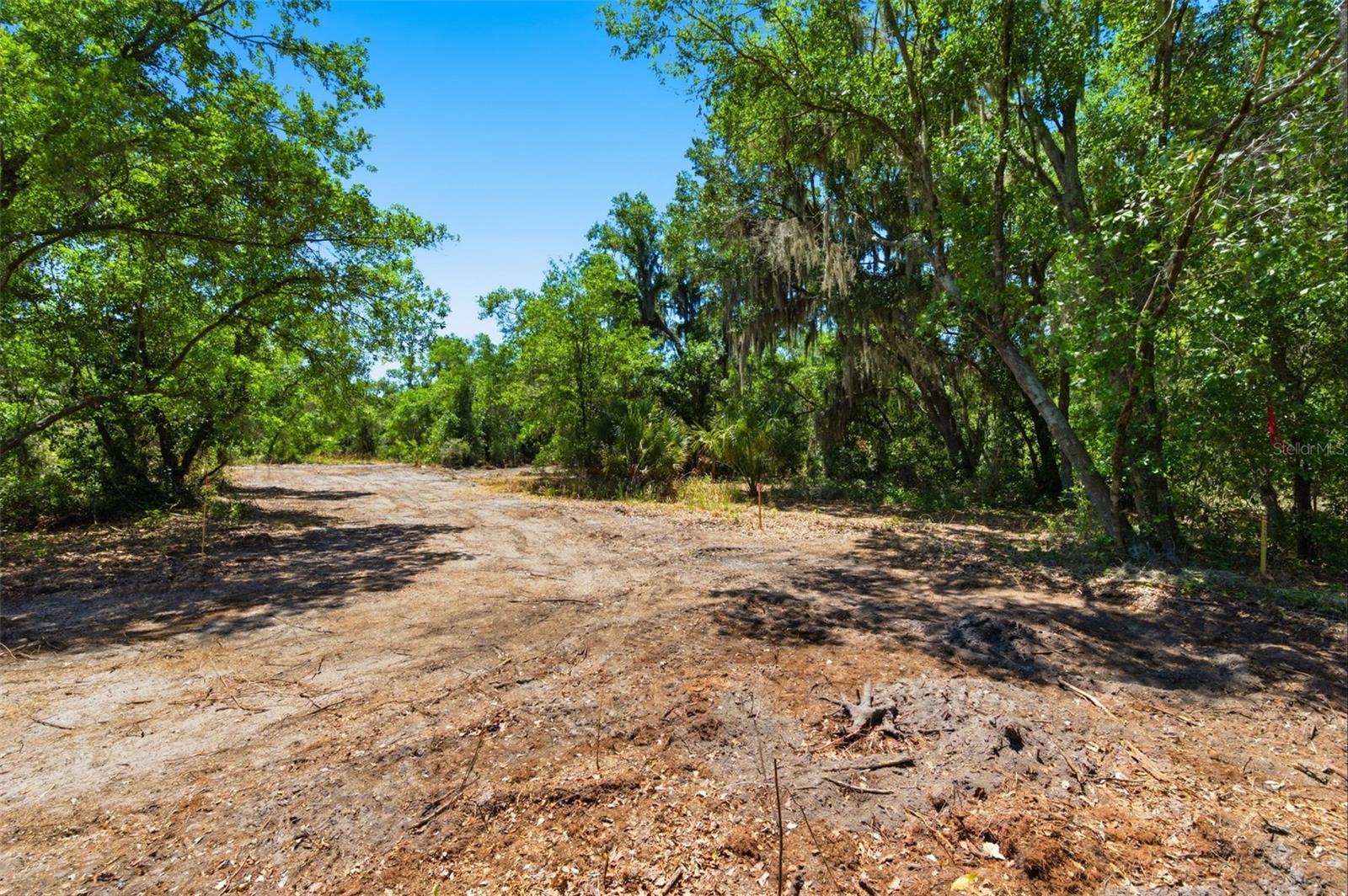 19084 RED BIRD LN #LOT 4, LITHIA, FL, 33547
