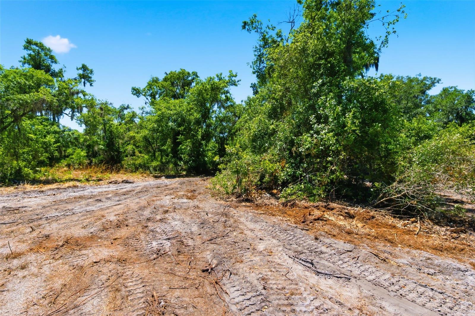 19084 RED BIRD LN #LOT 4, LITHIA, FL, 33547