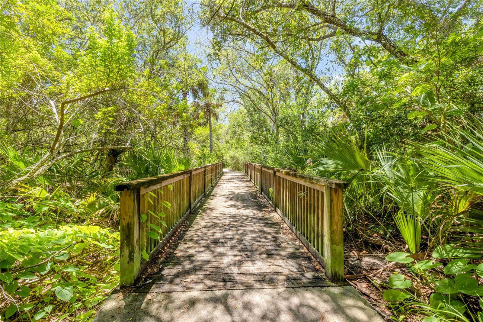 3211 SAXON DR, NEW SMYRNA BEACH, FL, 32169