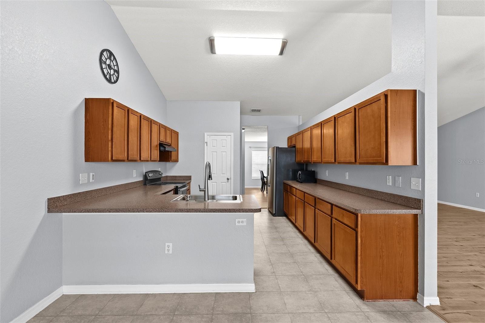 11366 RIDDLE DR, SPRING HILL, FL, 34609