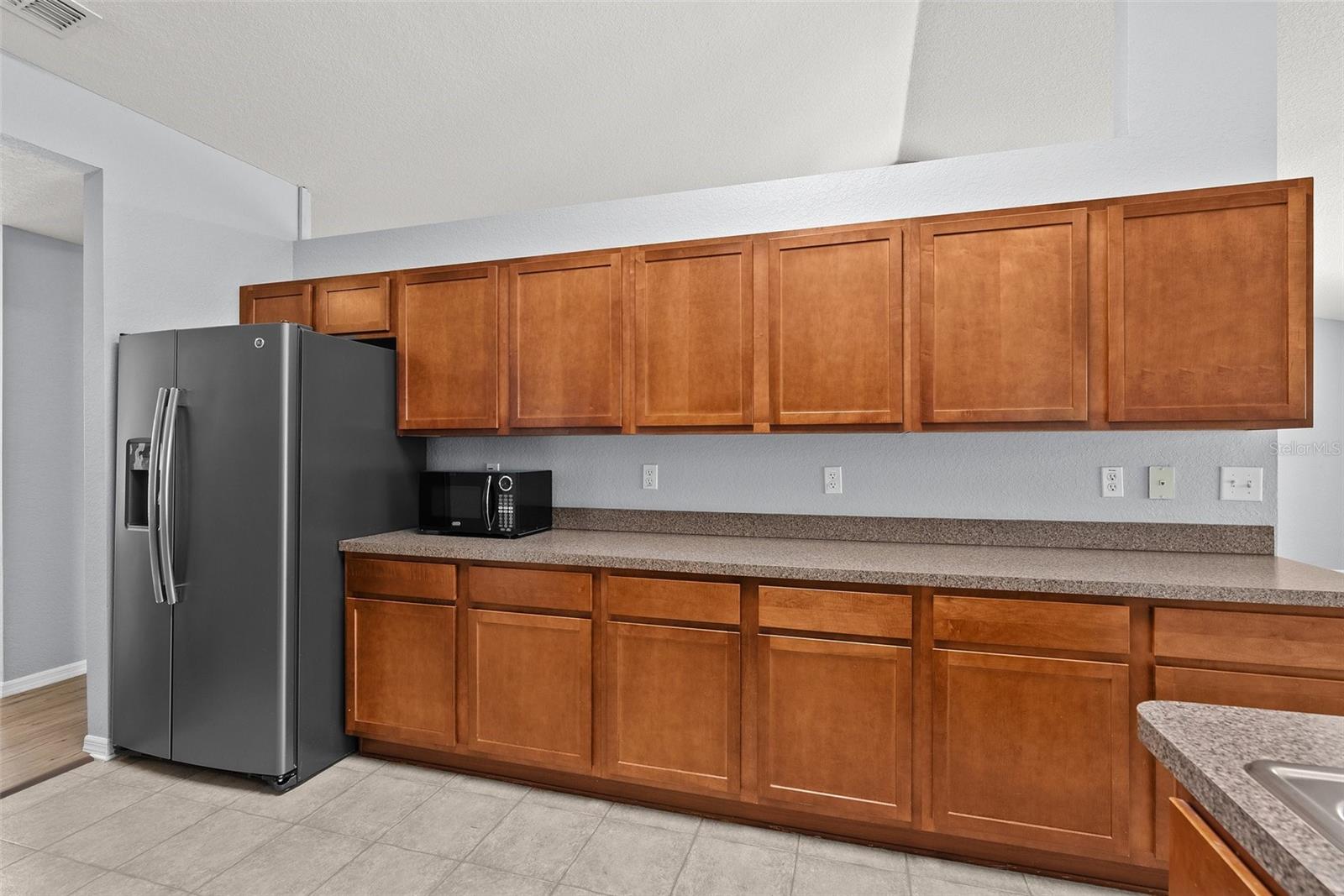 11366 RIDDLE DR, SPRING HILL, FL, 34609