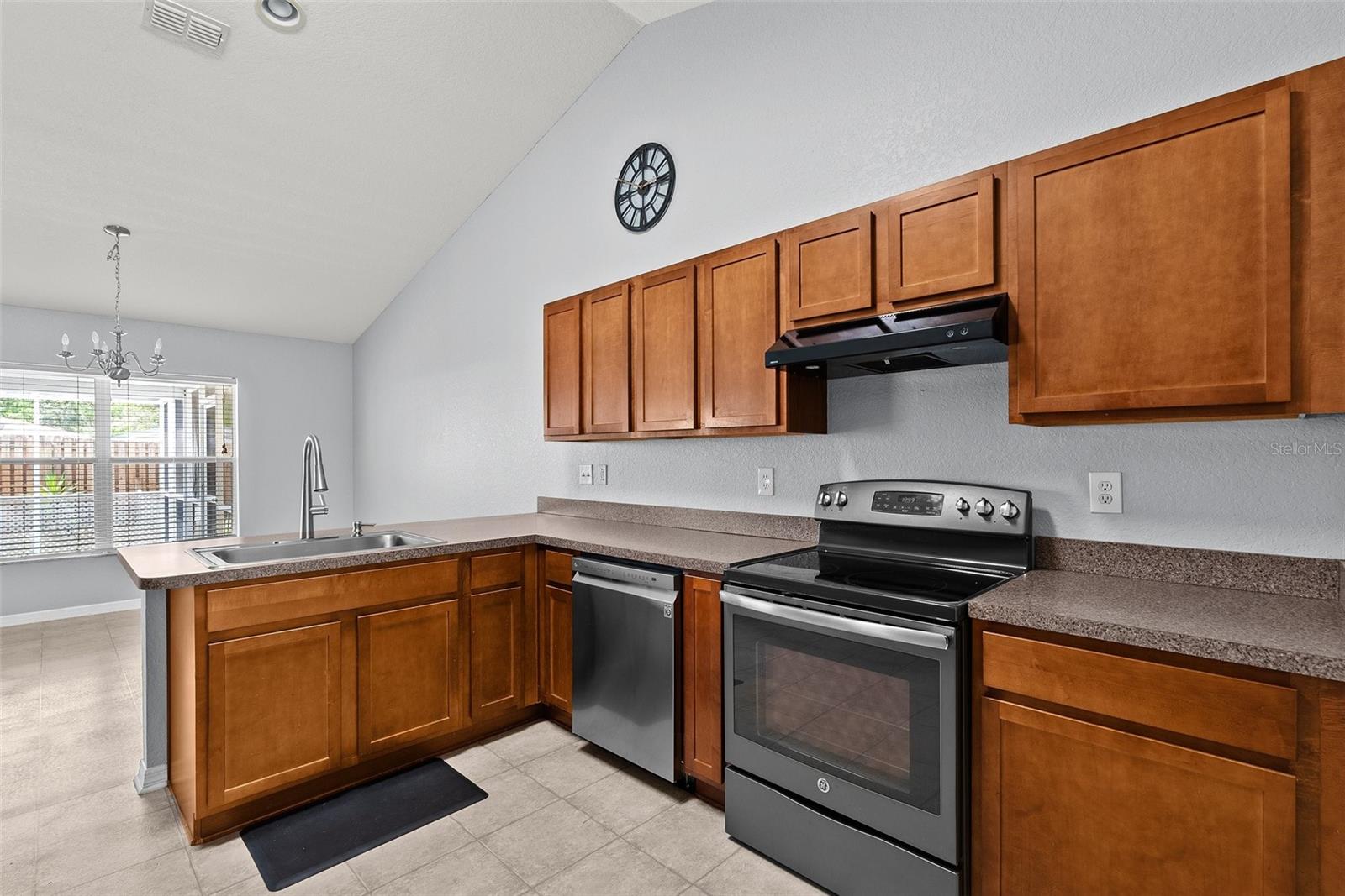 11366 RIDDLE DR, SPRING HILL, FL, 34609