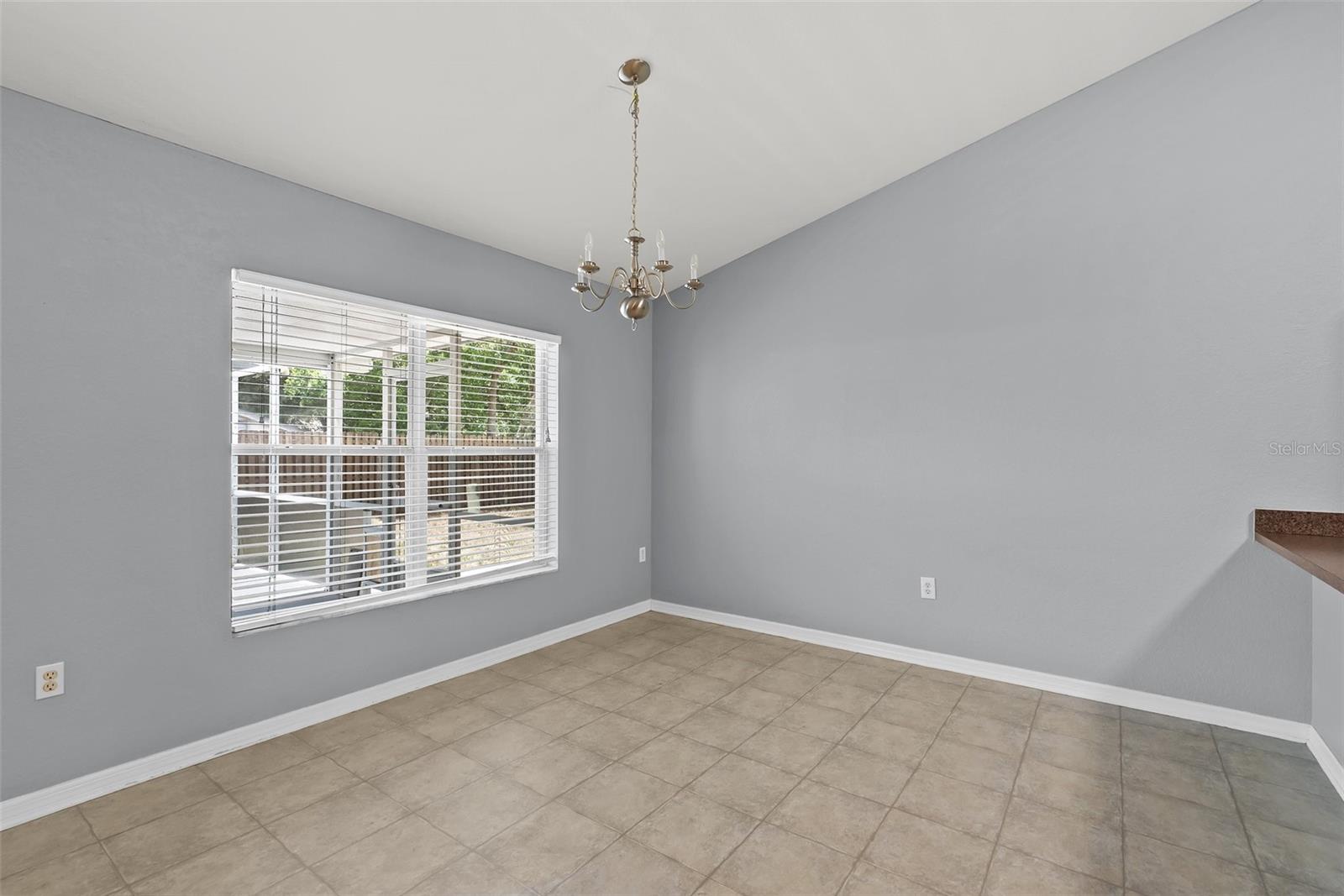 11366 RIDDLE DR, SPRING HILL, FL, 34609