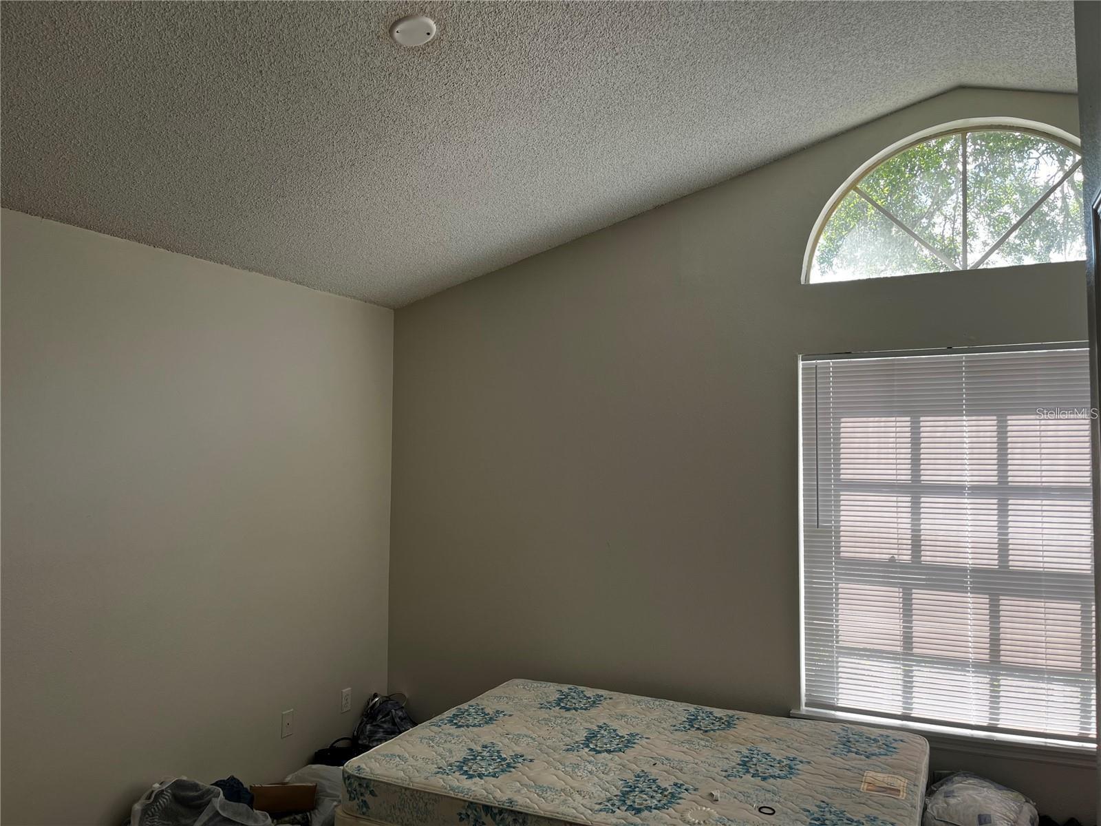 12723 WOOD TRAIL BLVD, TAMPA, FL, 33625