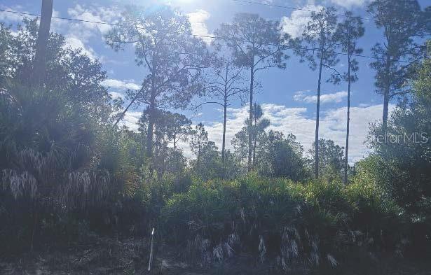 1302 WILLARD AVE, LEHIGH ACRES, FL, 33972