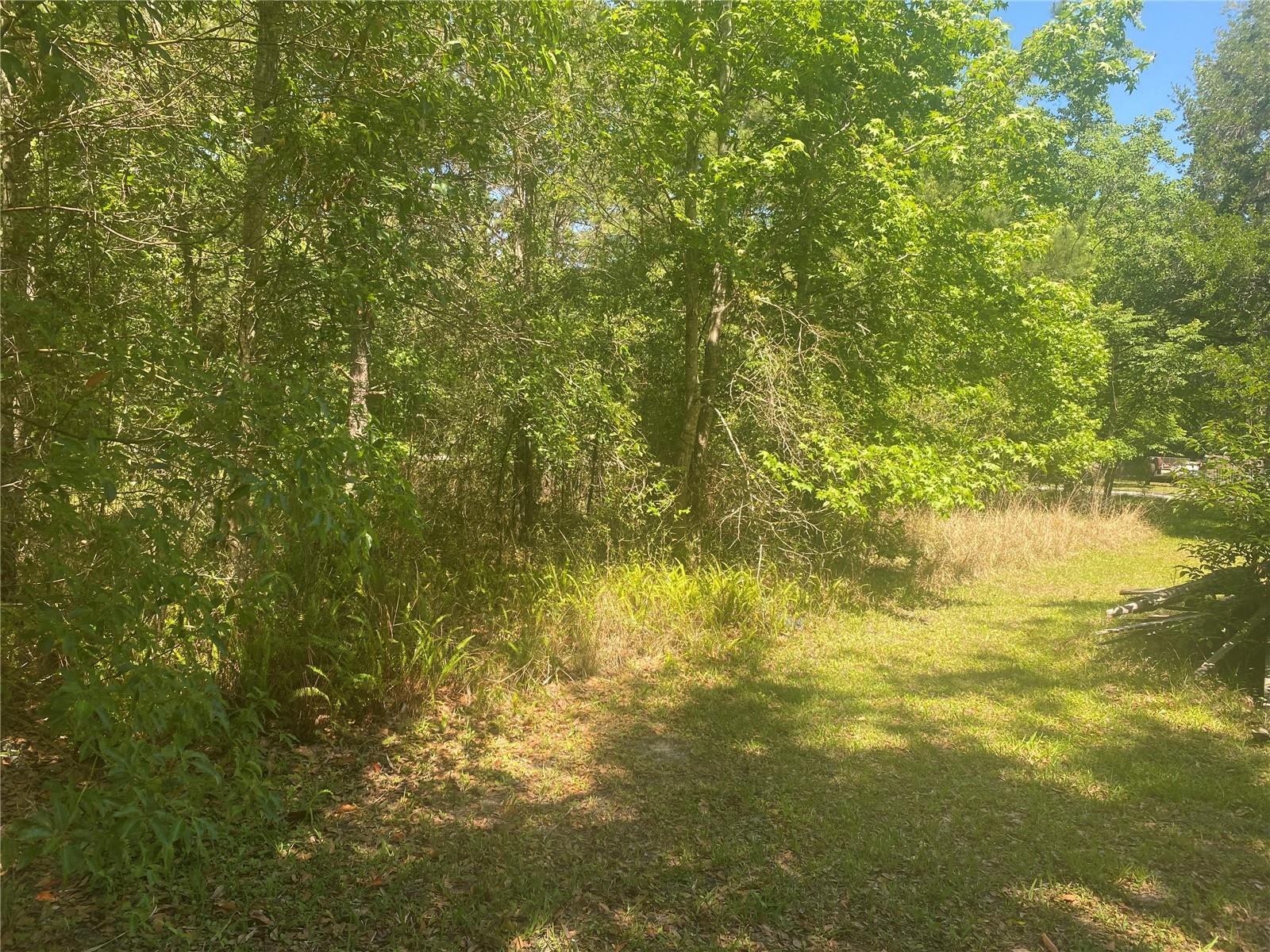 ARDMORE RD, BROOKSVILLE, FL, 34601