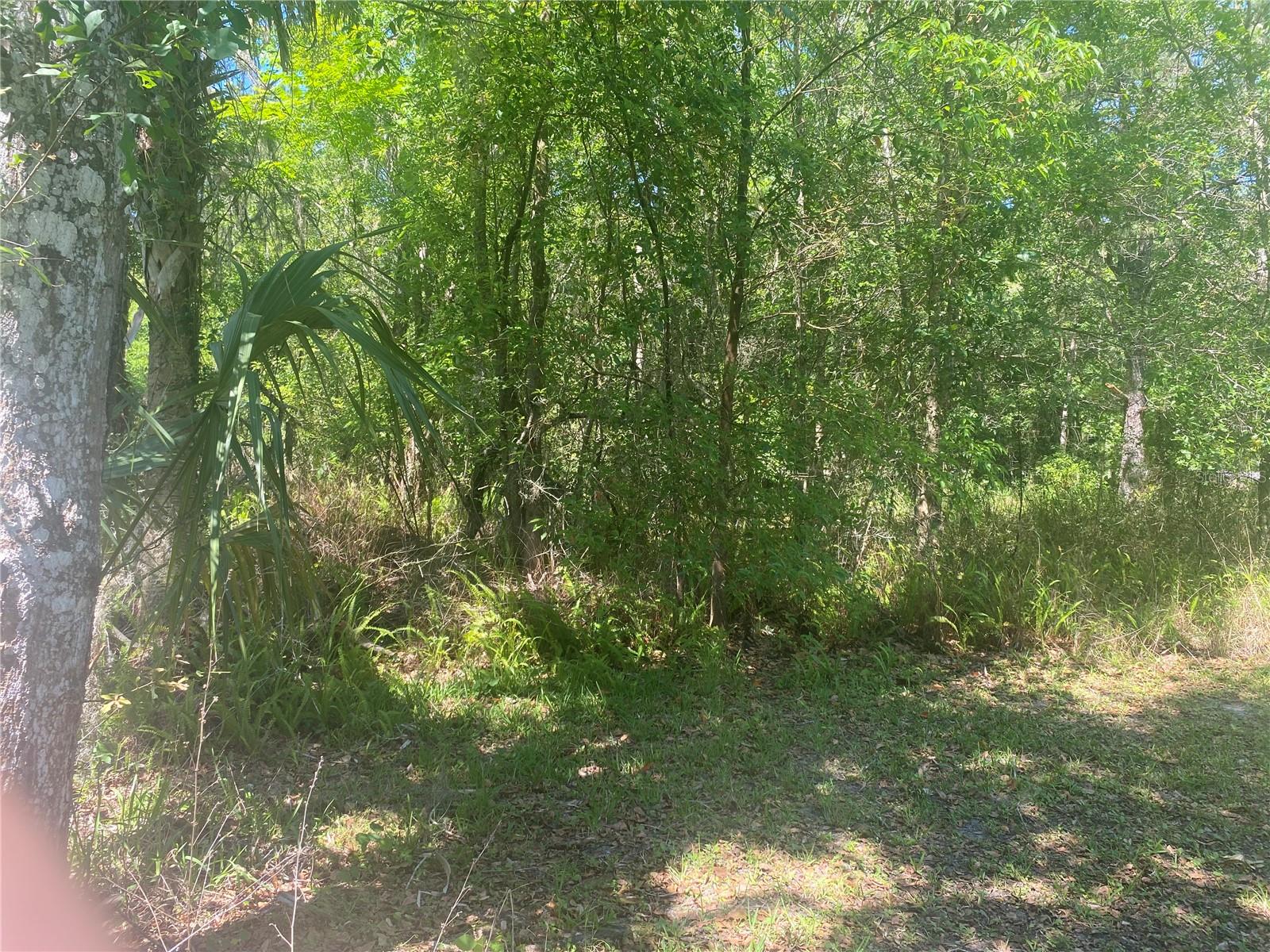 ARDMORE RD, BROOKSVILLE, FL, 34601