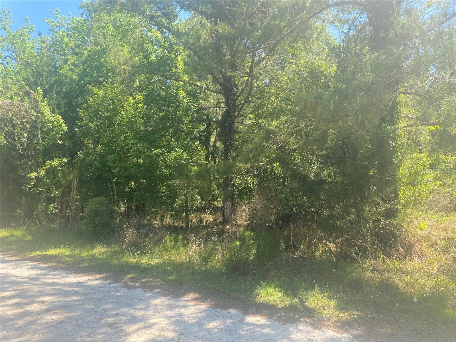 ARDMORE RD, BROOKSVILLE, FL, 34601