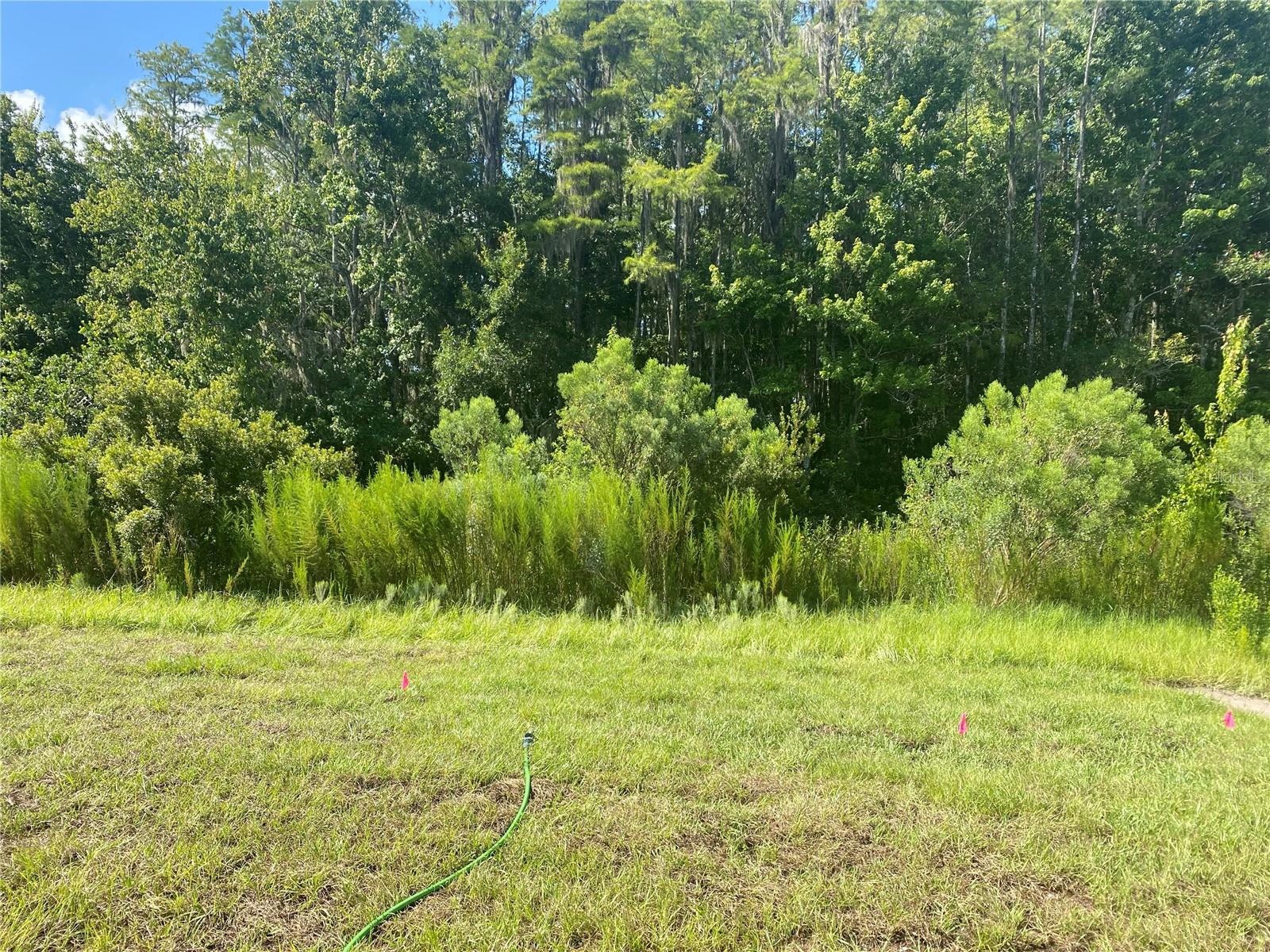 18236 HUNTERS MEADOW WALK, LAND O LAKES, FL, 34638