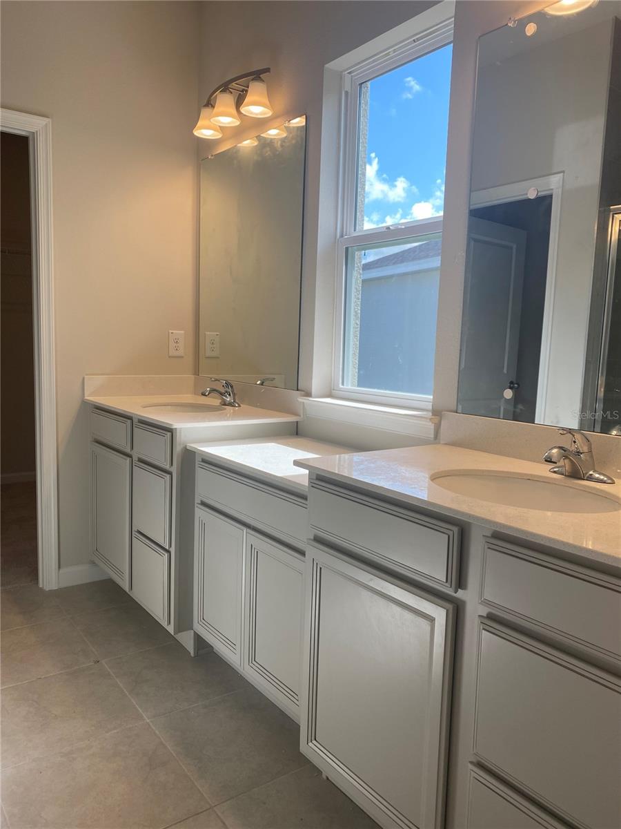 18236 HUNTERS MEADOW WALK, LAND O LAKES, FL, 34638