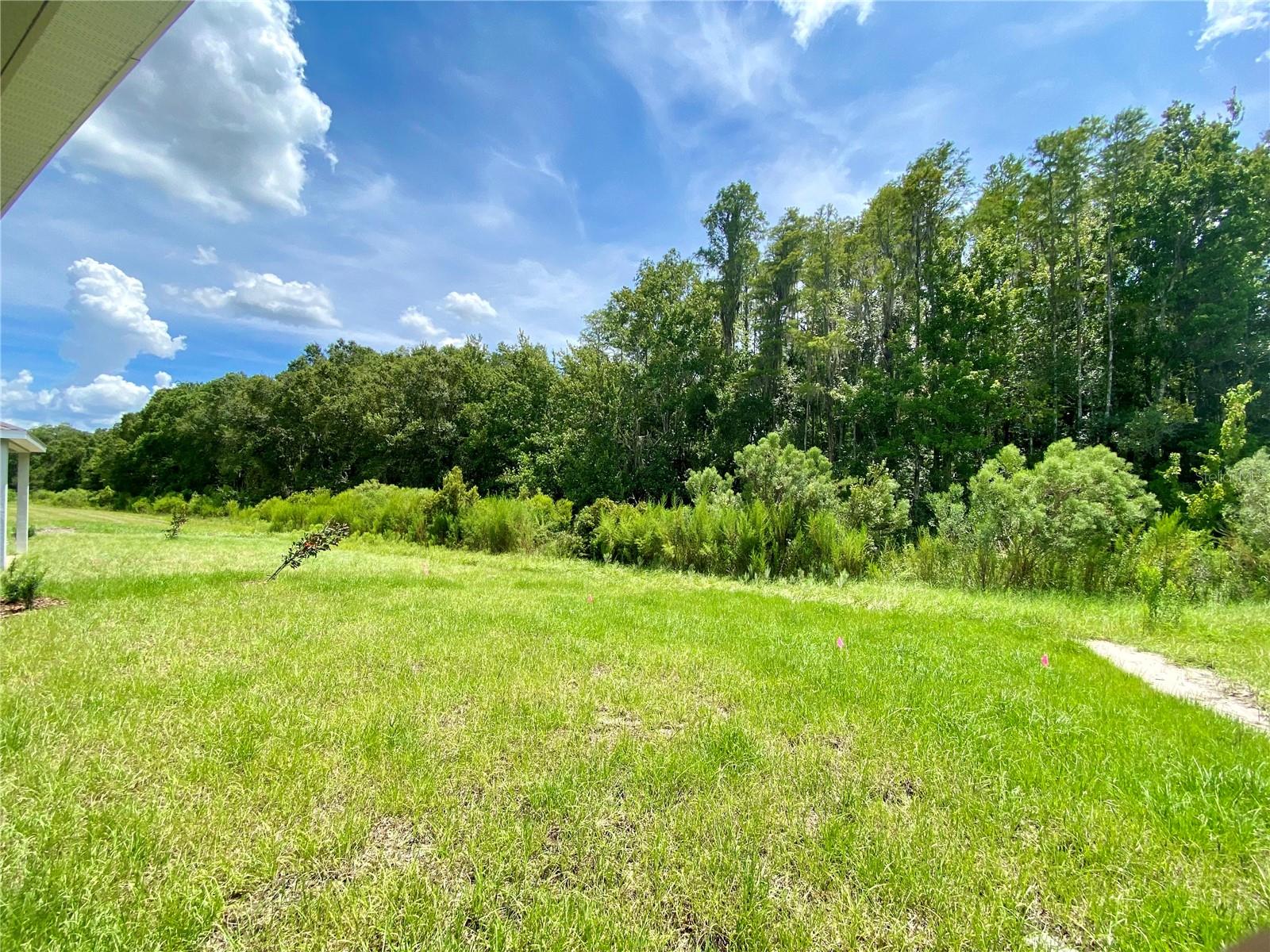 18236 HUNTERS MEADOW WALK, LAND O LAKES, FL, 34638