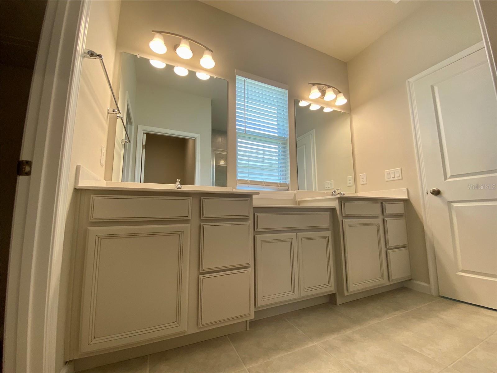 18236 HUNTERS MEADOW WALK, LAND O LAKES, FL, 34638