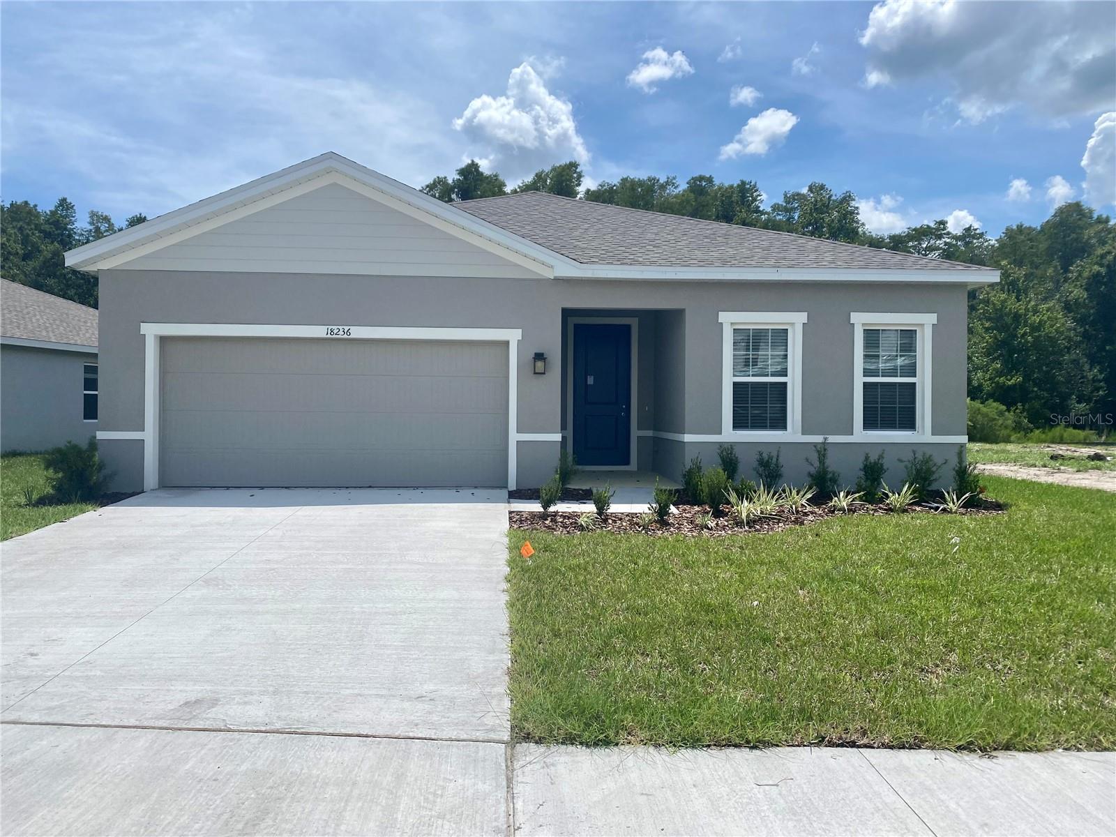 18236 HUNTERS MEADOW WALK, LAND O LAKES, FL, 34638