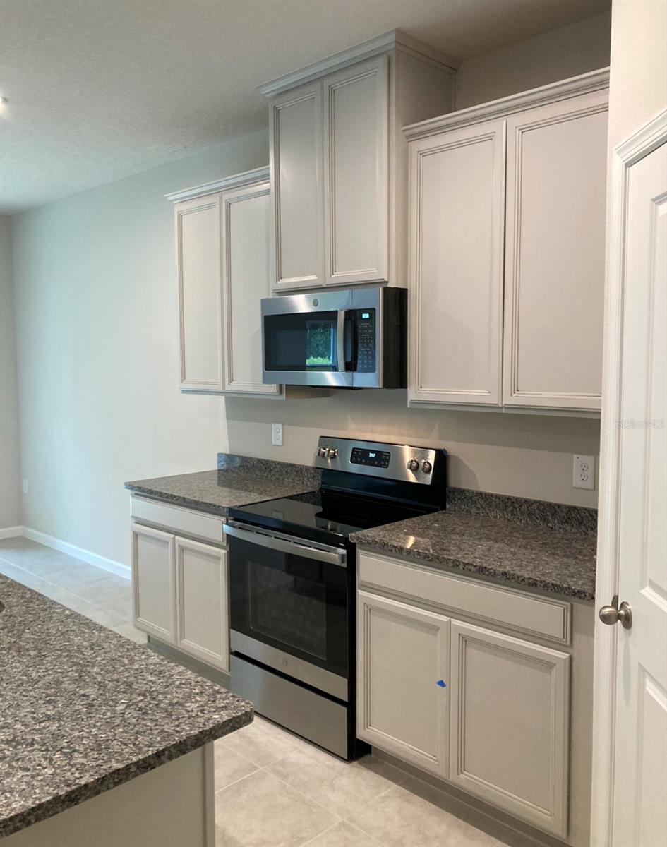 18236 HUNTERS MEADOW WALK, LAND O LAKES, FL, 34638