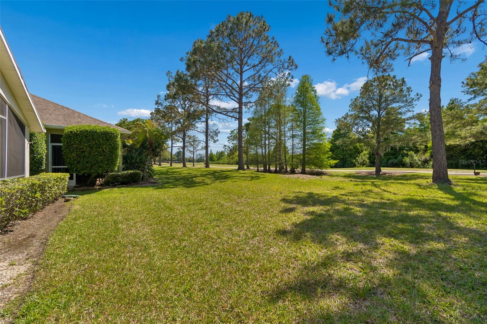 3231 BANYAN HILL LN, LAND O LAKES, FL, 34639