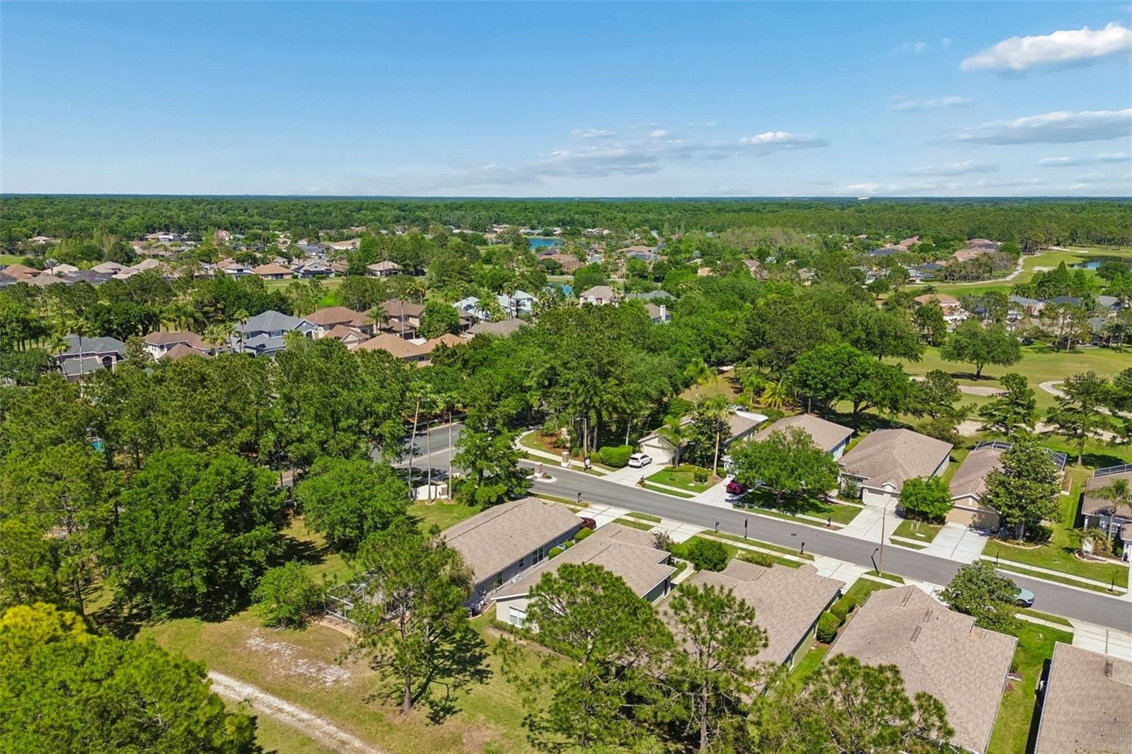 3231 BANYAN HILL LN, LAND O LAKES, FL, 34639