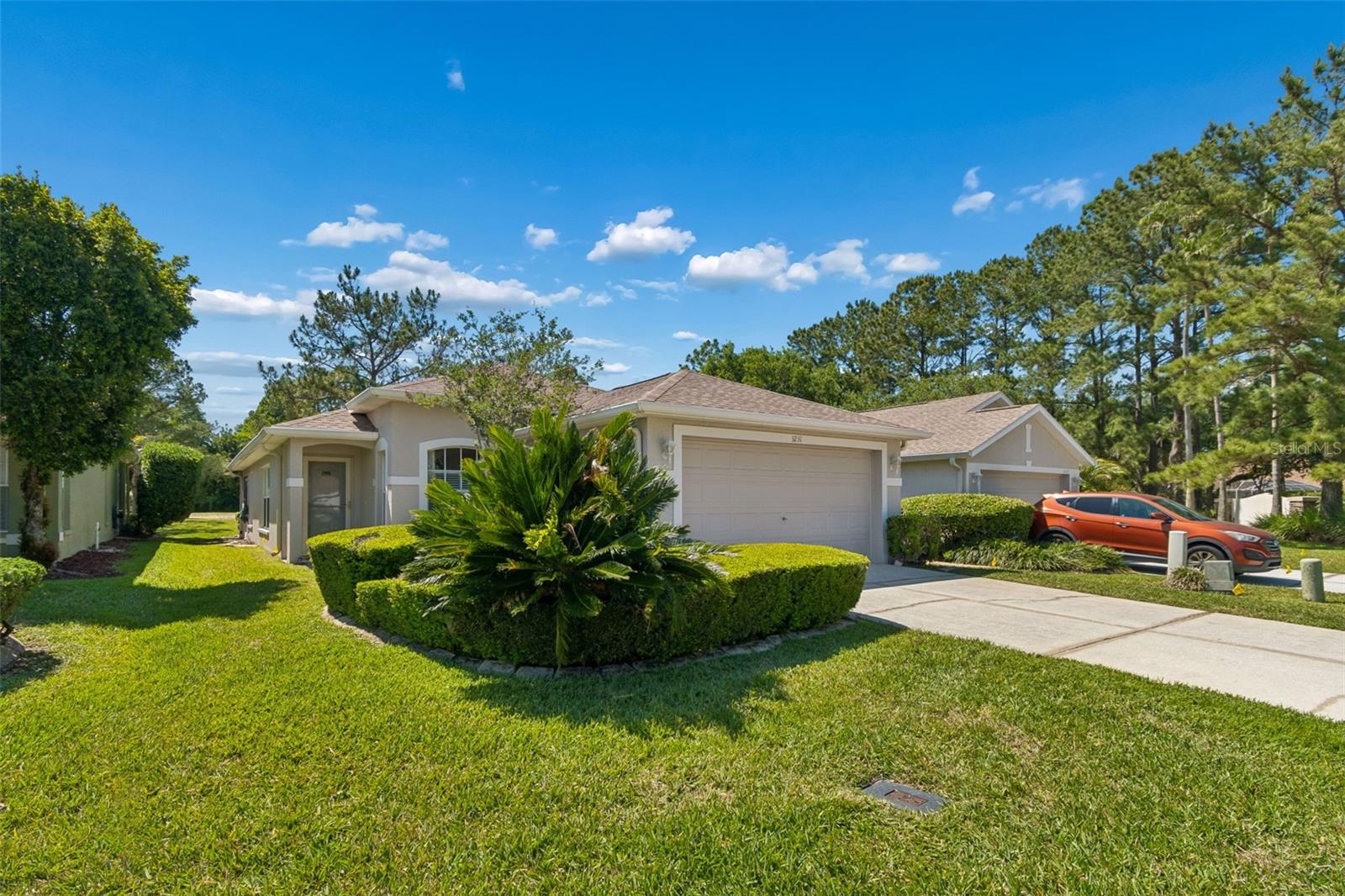 3231 BANYAN HILL LN, LAND O LAKES, FL, 34639