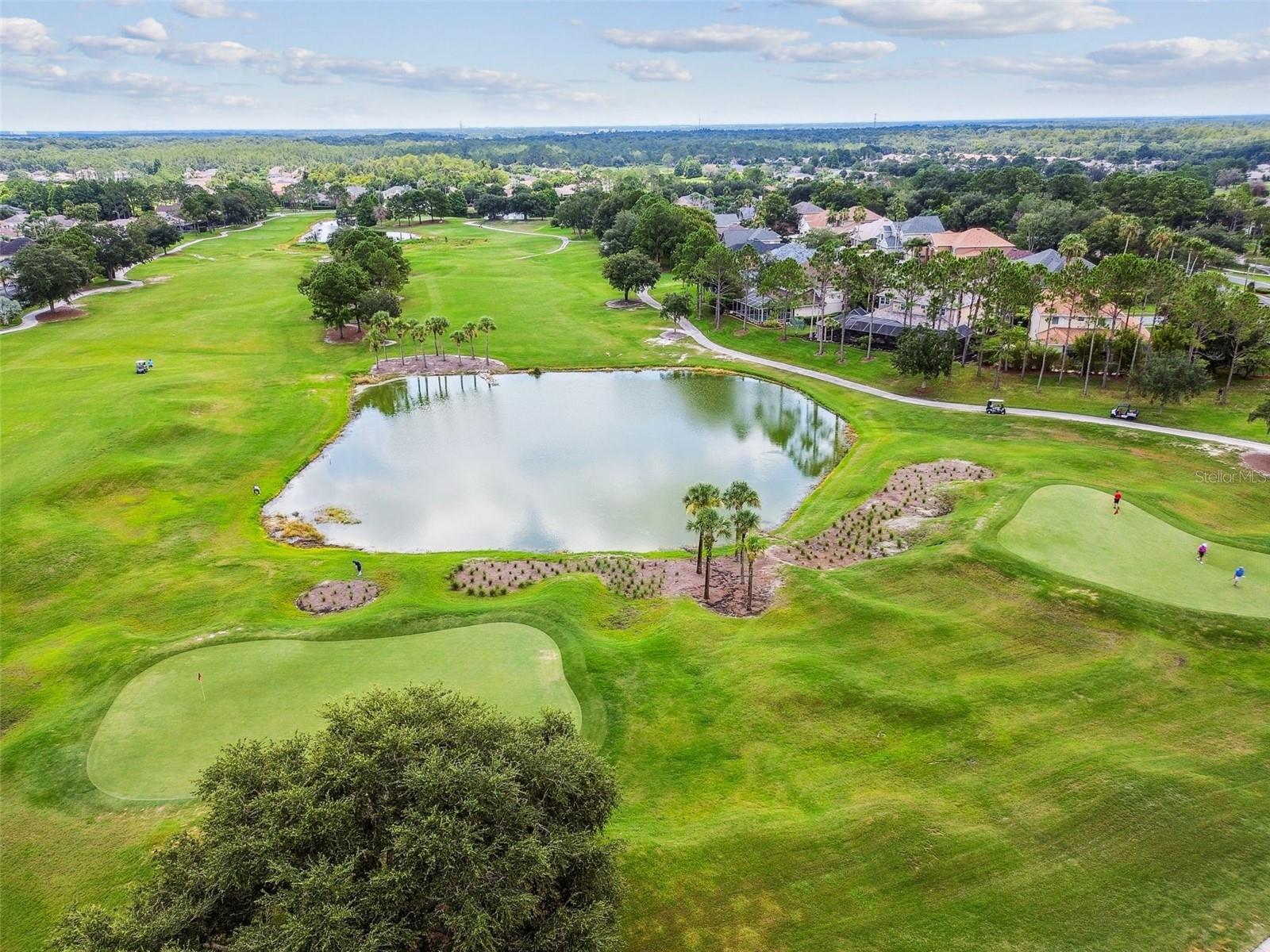 3231 BANYAN HILL LN, LAND O LAKES, FL, 34639