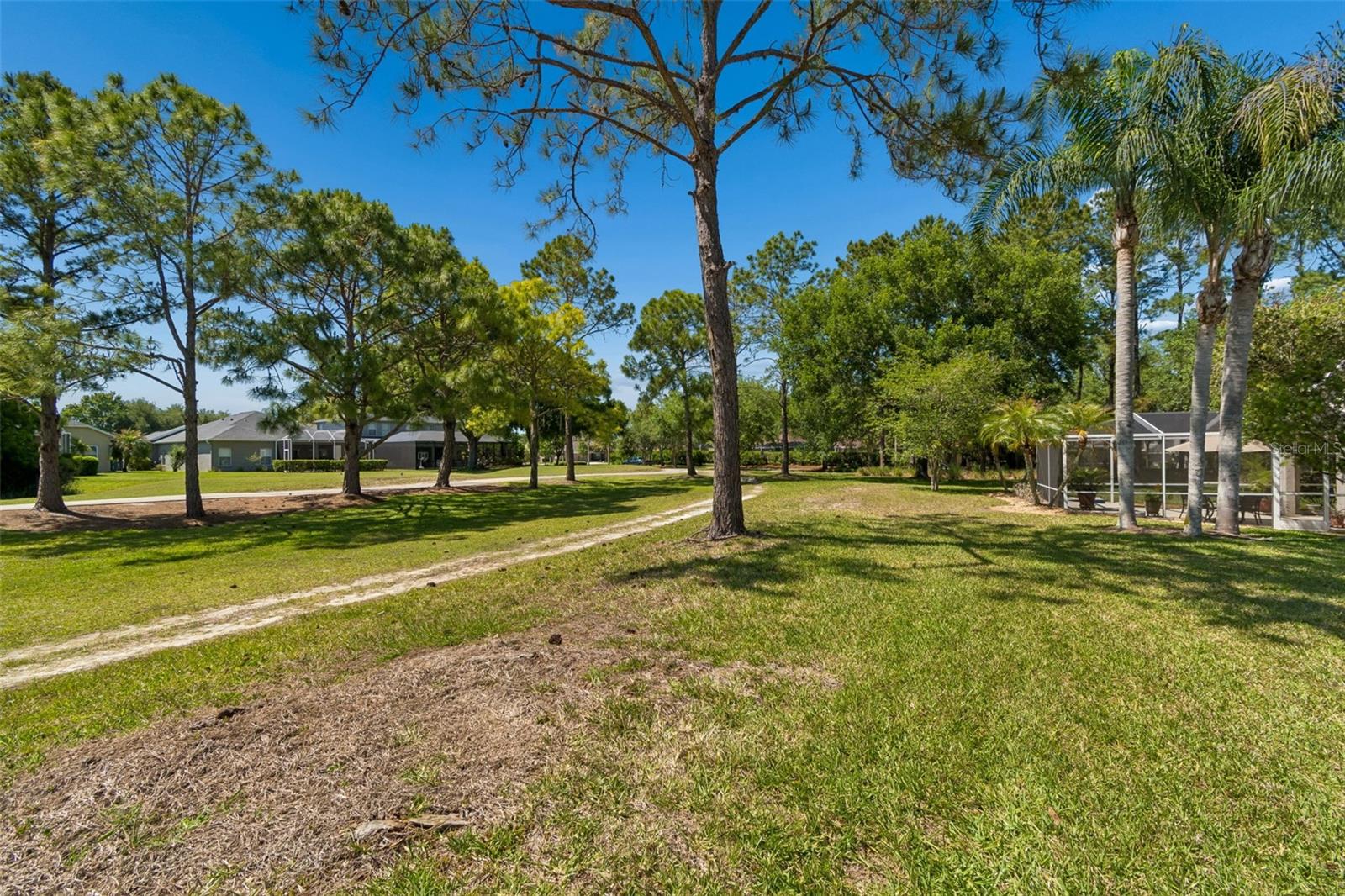 3231 BANYAN HILL LN, LAND O LAKES, FL, 34639