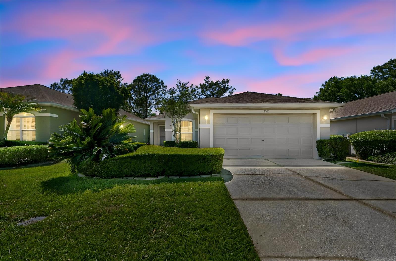 3231 BANYAN HILL LN, LAND O LAKES, FL, 34639