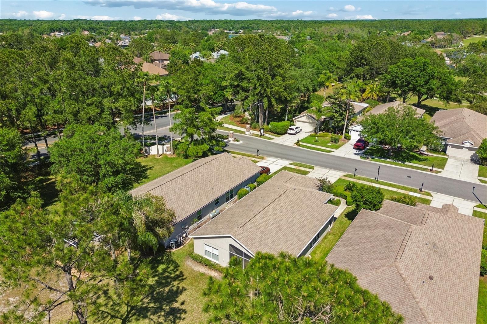 3231 BANYAN HILL LN, LAND O LAKES, FL, 34639