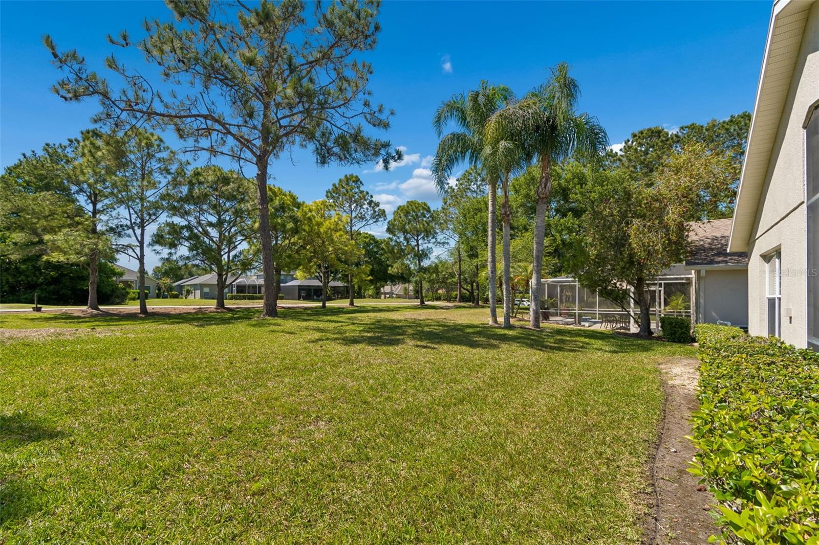 3231 BANYAN HILL LN, LAND O LAKES, FL, 34639