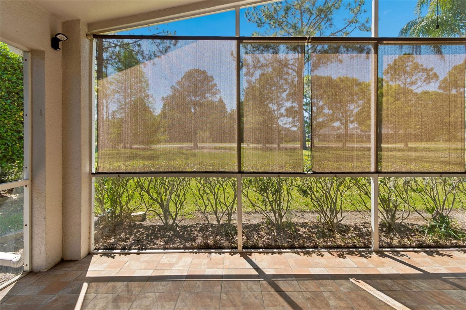 3231 BANYAN HILL LN, LAND O LAKES, FL, 34639