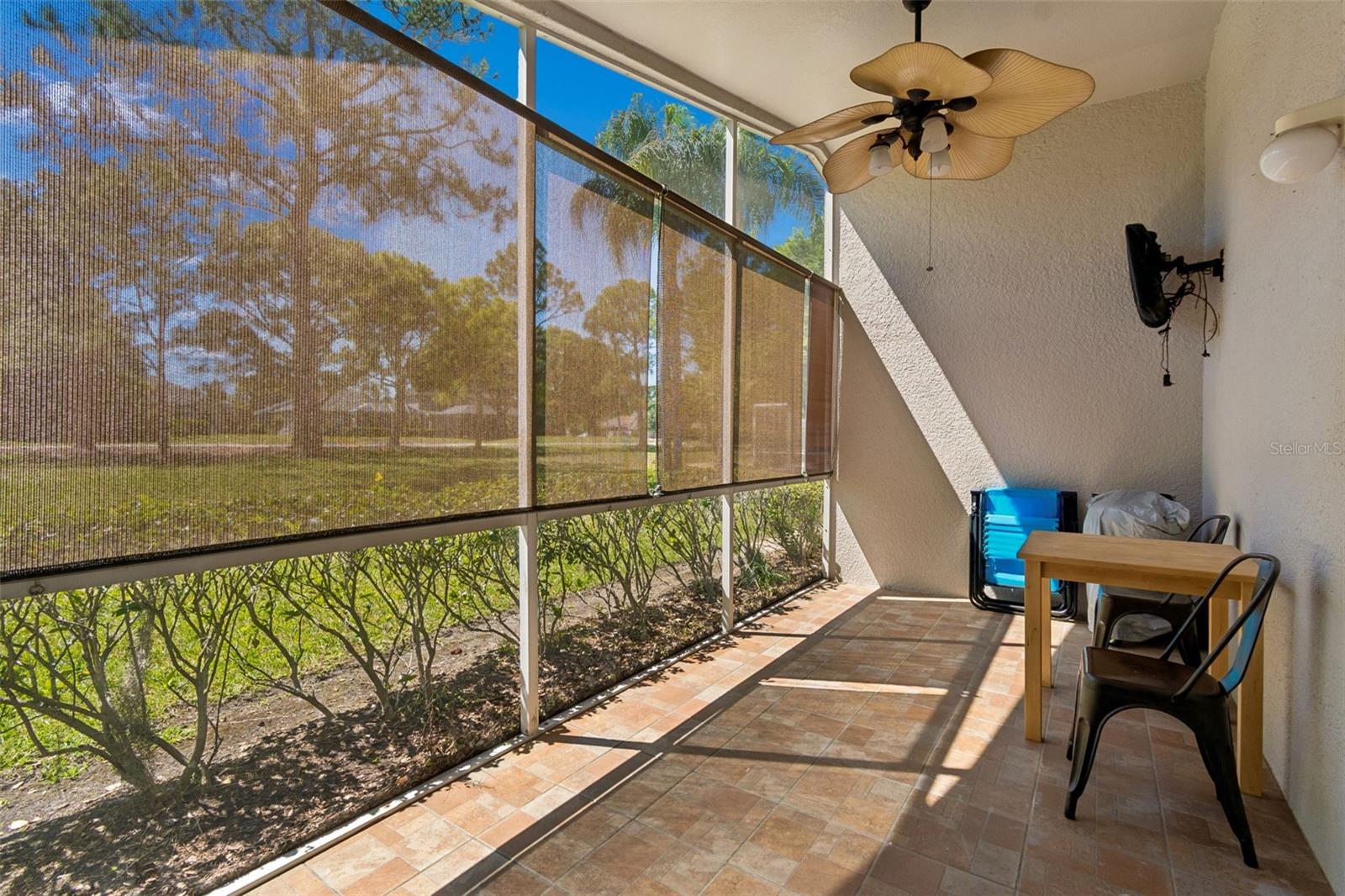 3231 BANYAN HILL LN, LAND O LAKES, FL, 34639