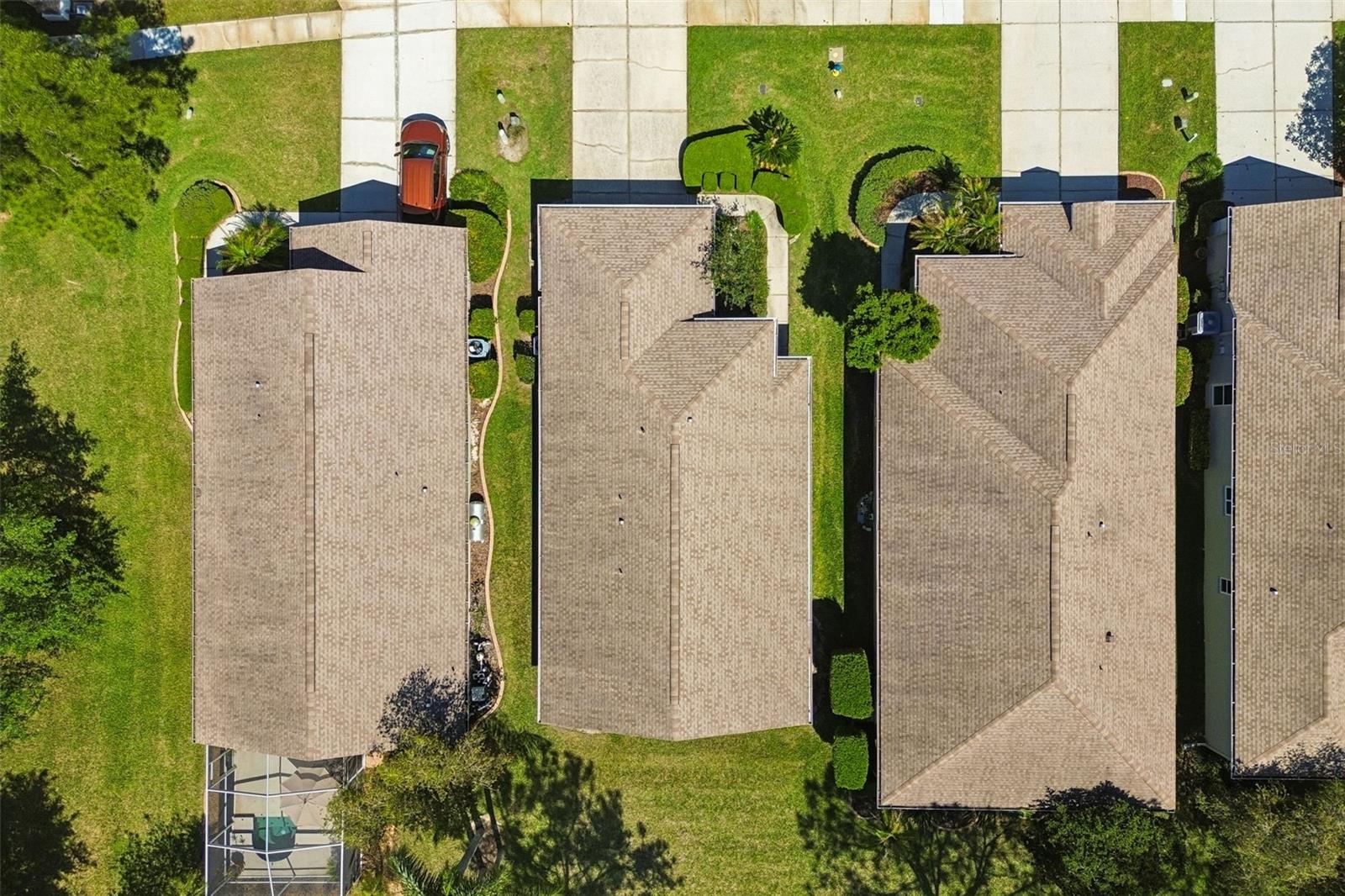 3231 BANYAN HILL LN, LAND O LAKES, FL, 34639