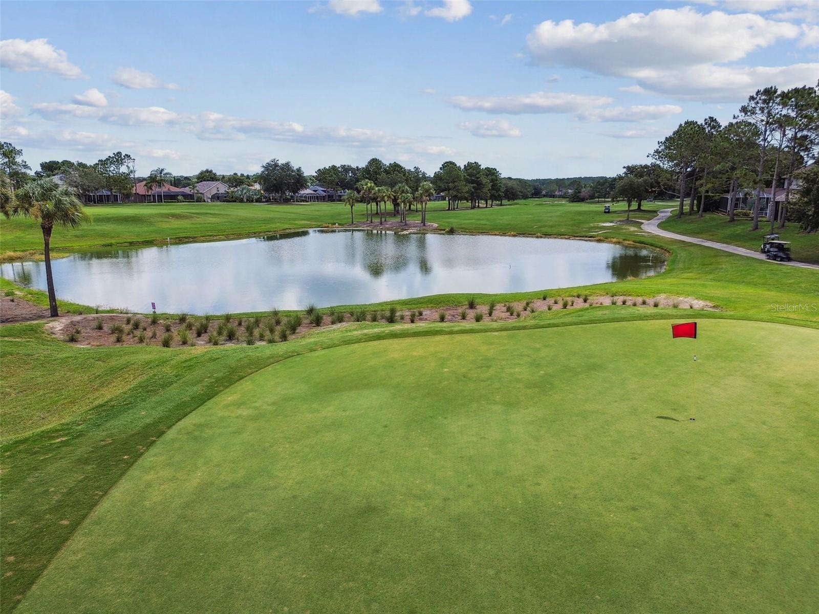 3231 BANYAN HILL LN, LAND O LAKES, FL, 34639