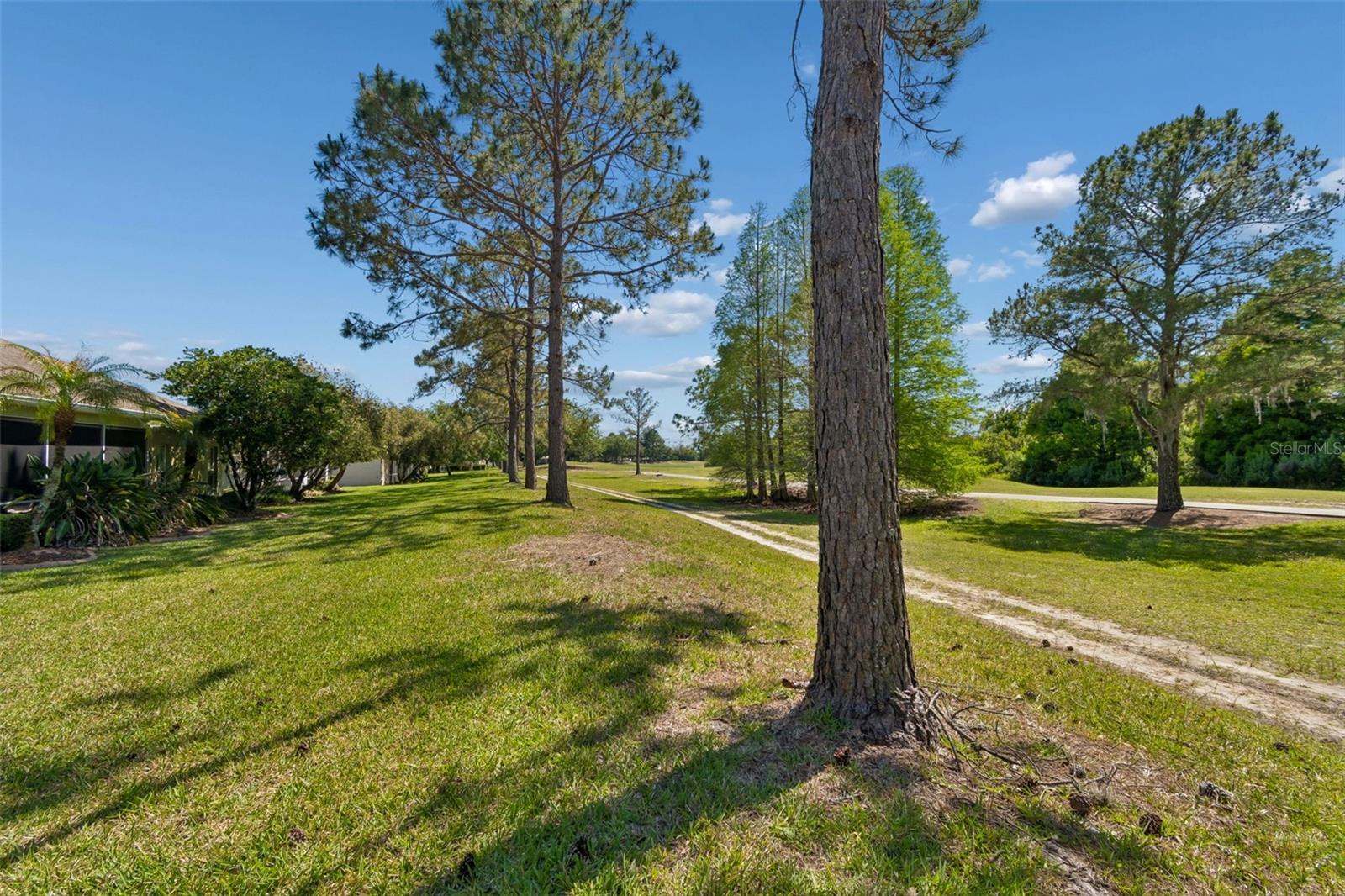 3231 BANYAN HILL LN, LAND O LAKES, FL, 34639